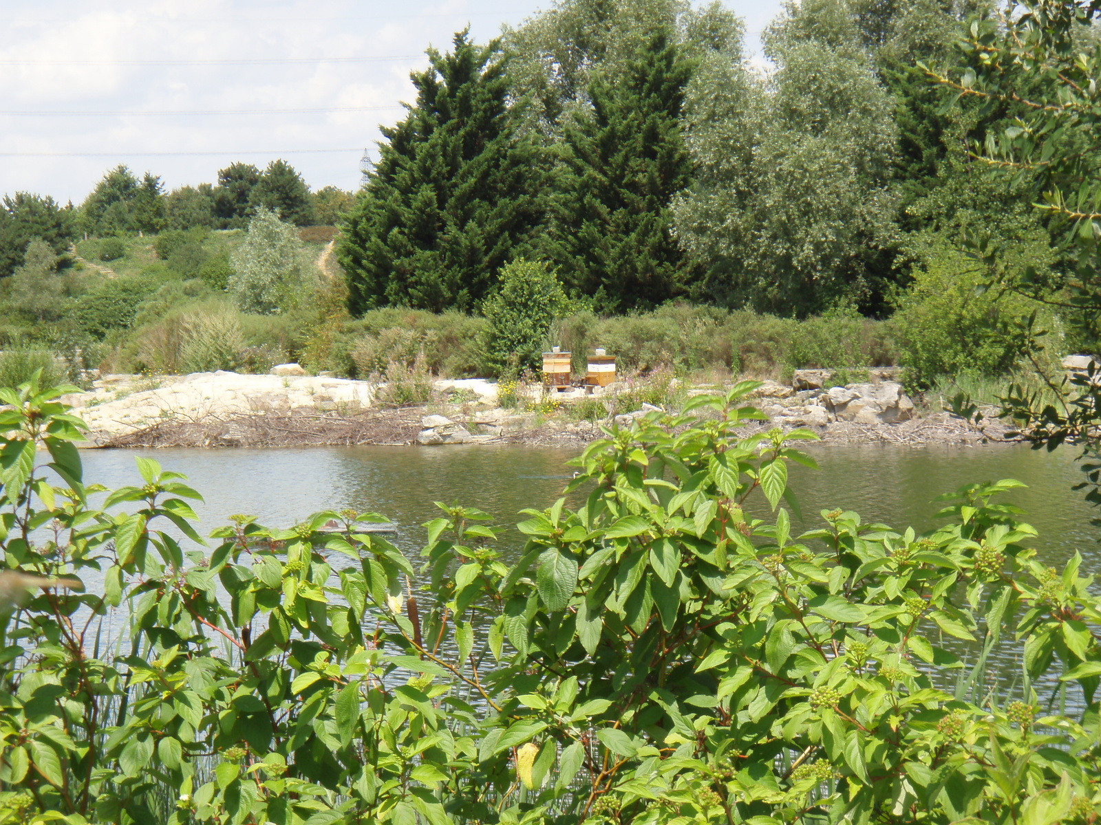 Picture France Villeneuve La Garenne Parc des Chanteraines 2007-07 4 - Picture Parc des Chanteraines