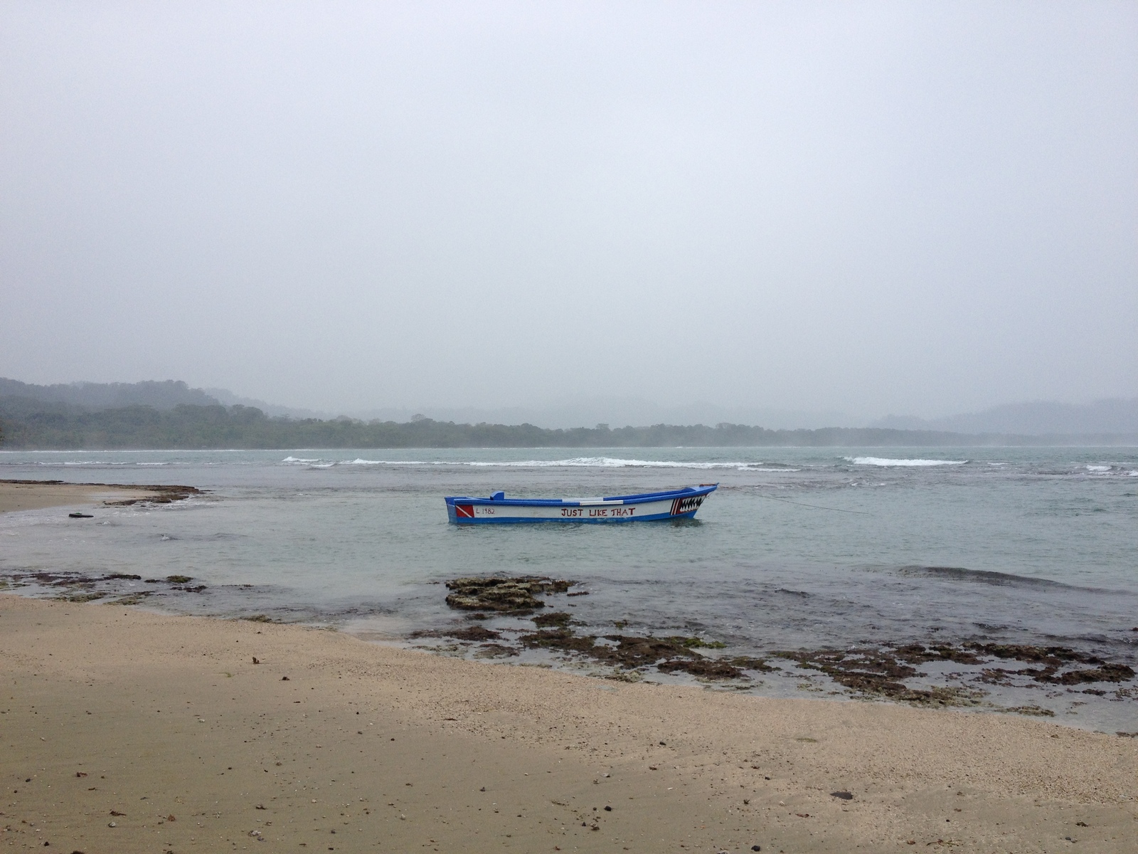 Picture Costa Rica Puerto Viejo de Talamanca 2015-03 30 - Picture Puerto Viejo de Talamanca