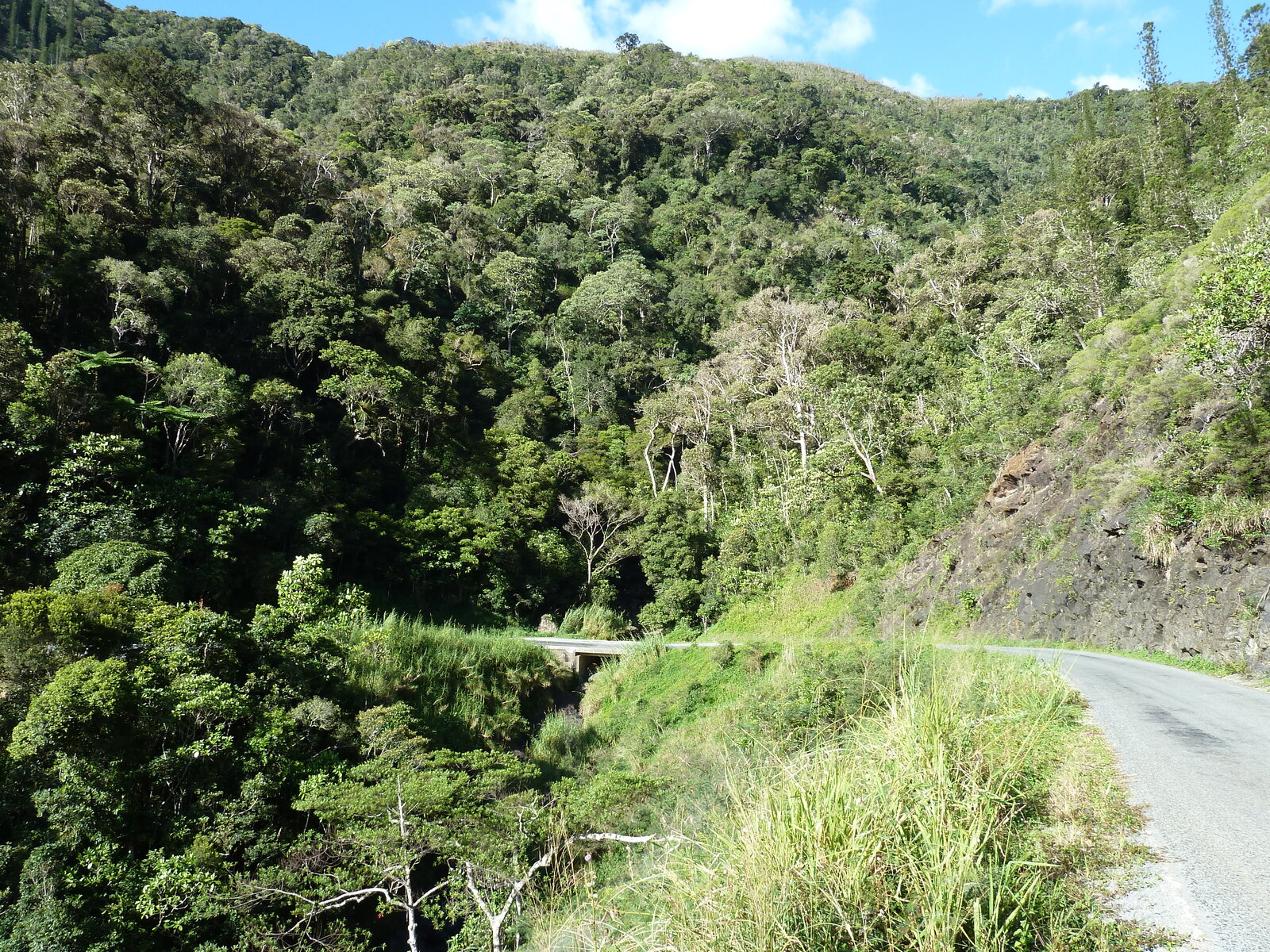 Picture New Caledonia Canala to La Foa road 2010-05 44 - Perspective Canala to La Foa road