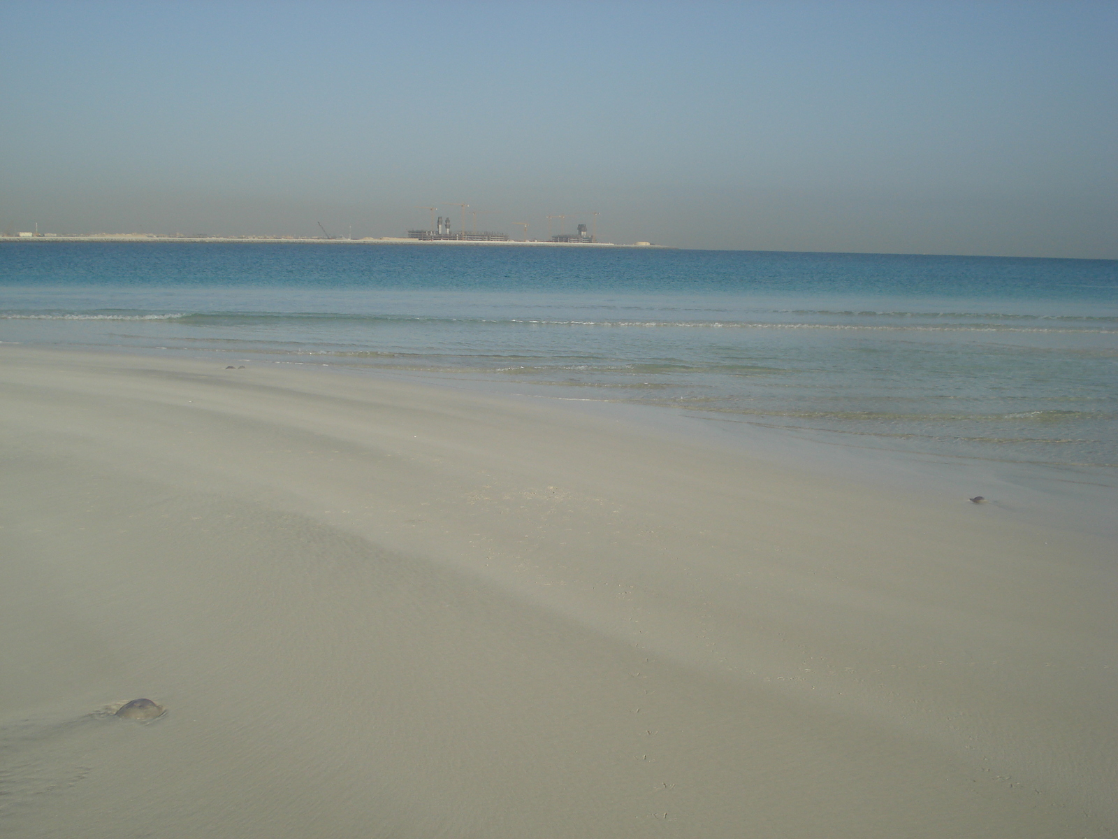 Picture United Arab Emirates Dubai Jumeirah Beach 2007-03 34 - Flight Jumeirah Beach