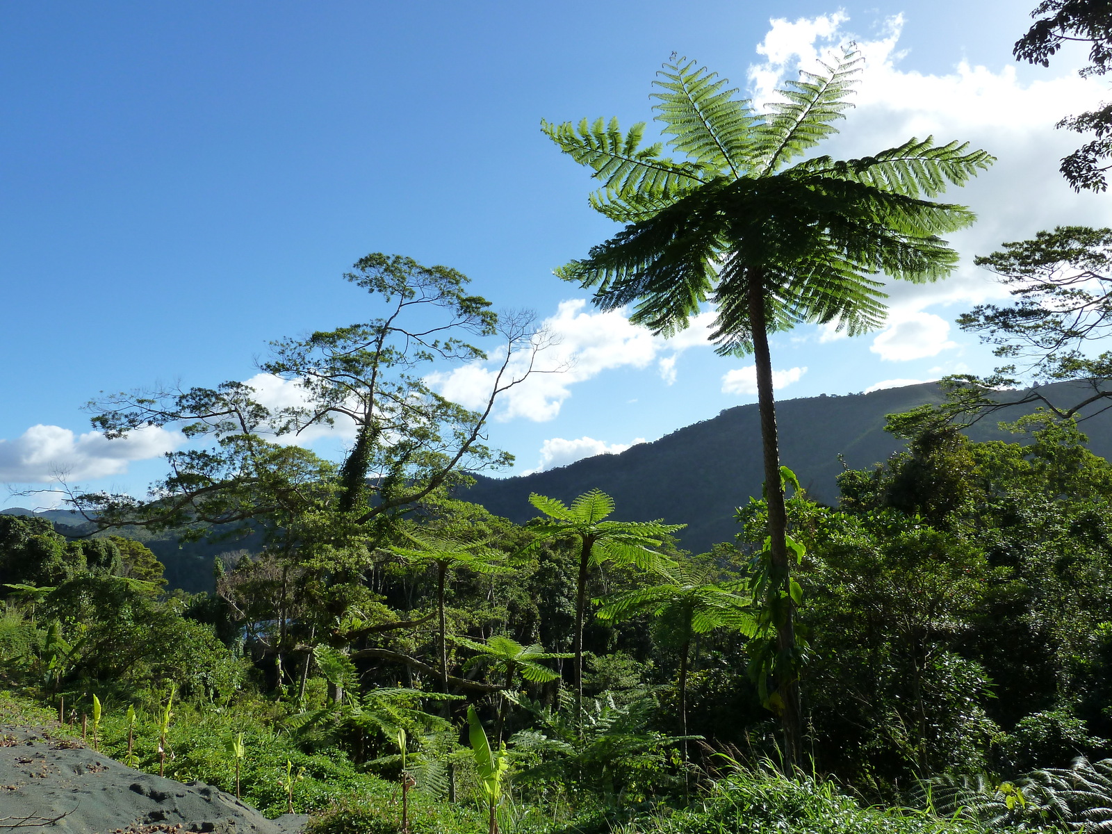 Picture New Caledonia 2010-05 123 - Visit New Caledonia