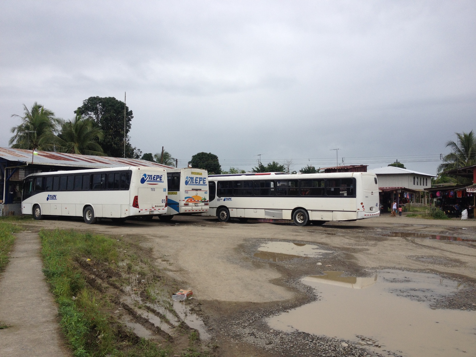 Picture Costa Rica Caraibean Border 2015-03 4 - Photos Caraibean Border