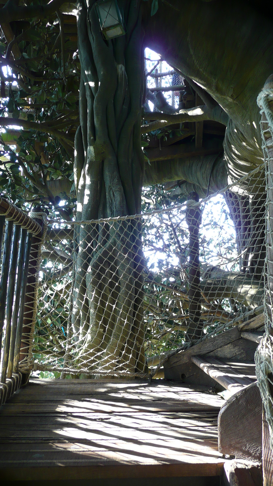 Picture France Disneyland Paris La Cabane des Robinson 2007-07 16 - View La Cabane des Robinson