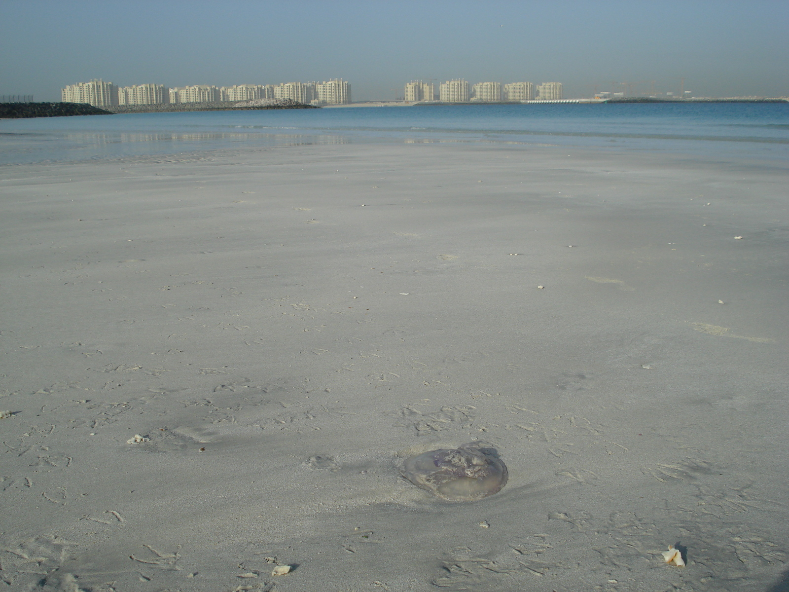 Picture United Arab Emirates Dubai Jumeirah Beach 2007-03 16 - Photographer Jumeirah Beach