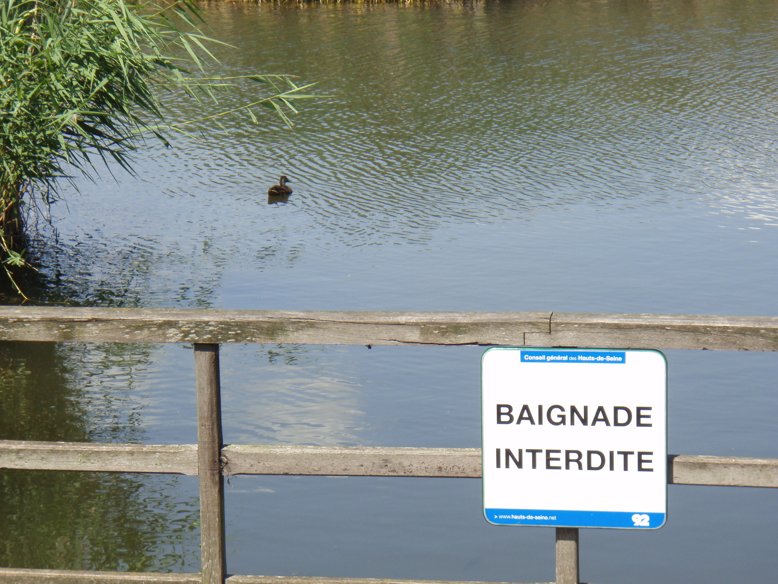 Picture France Villeneuve La Garenne Parc des Chanteraines 2007-07 55 - Car Rental Parc des Chanteraines