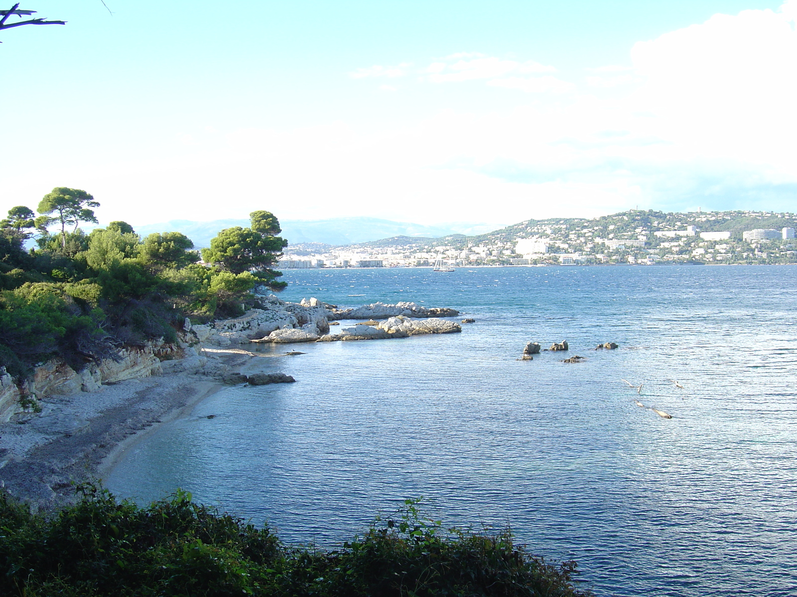 Picture France Cannes Sainte Marguerite 2005-10 6 - Photographers Sainte Marguerite