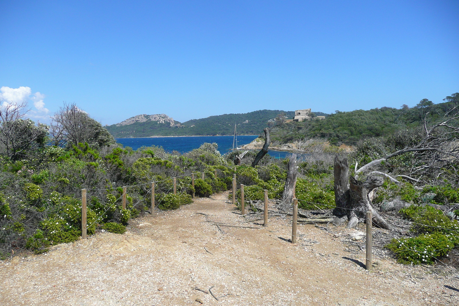 Picture France Porquerolles Island Pointe du Lequin 2008-05 37 - Trip Pointe du Lequin