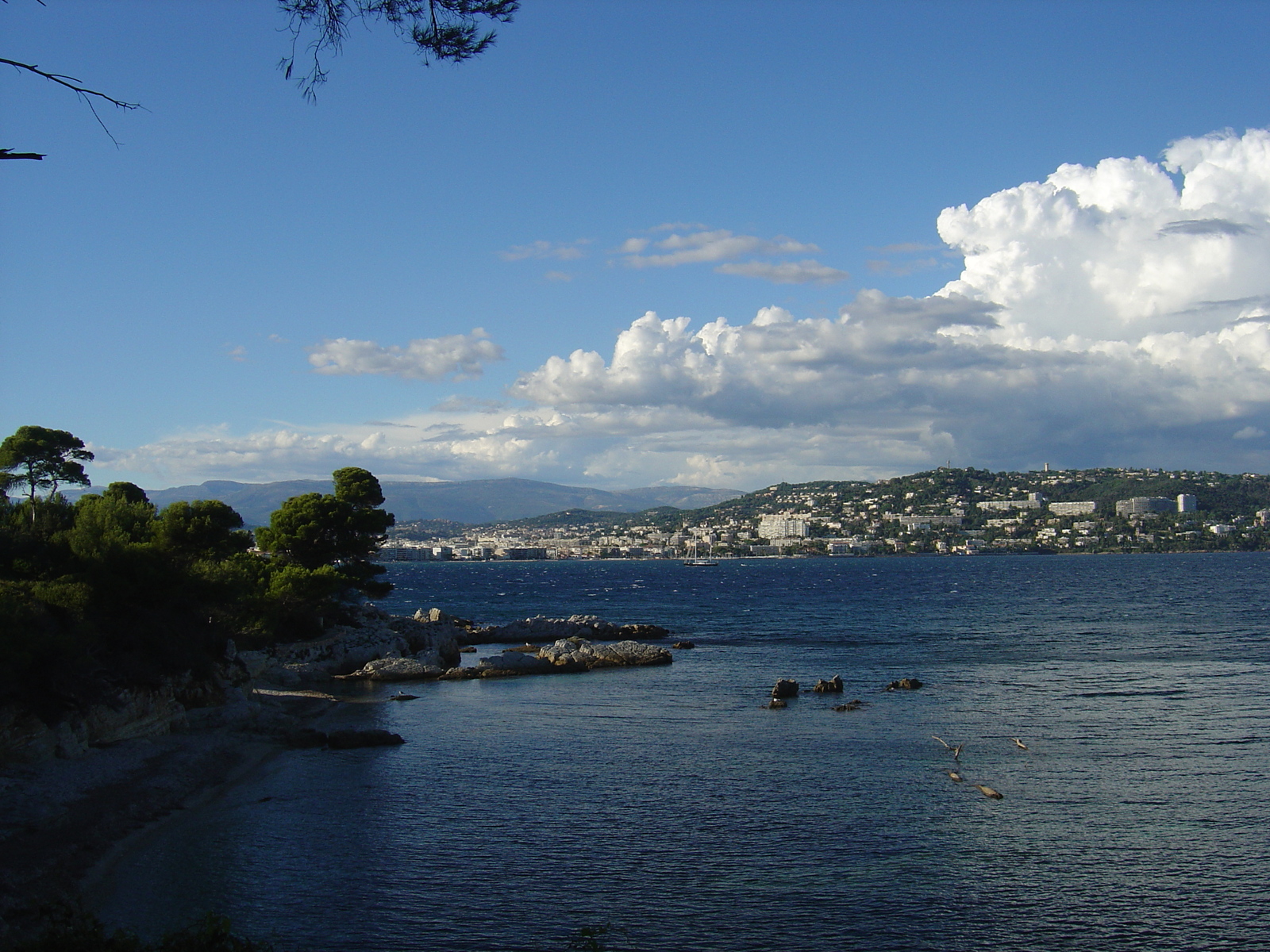 Picture France Cannes Sainte Marguerite 2005-10 7 - Photographers Sainte Marguerite