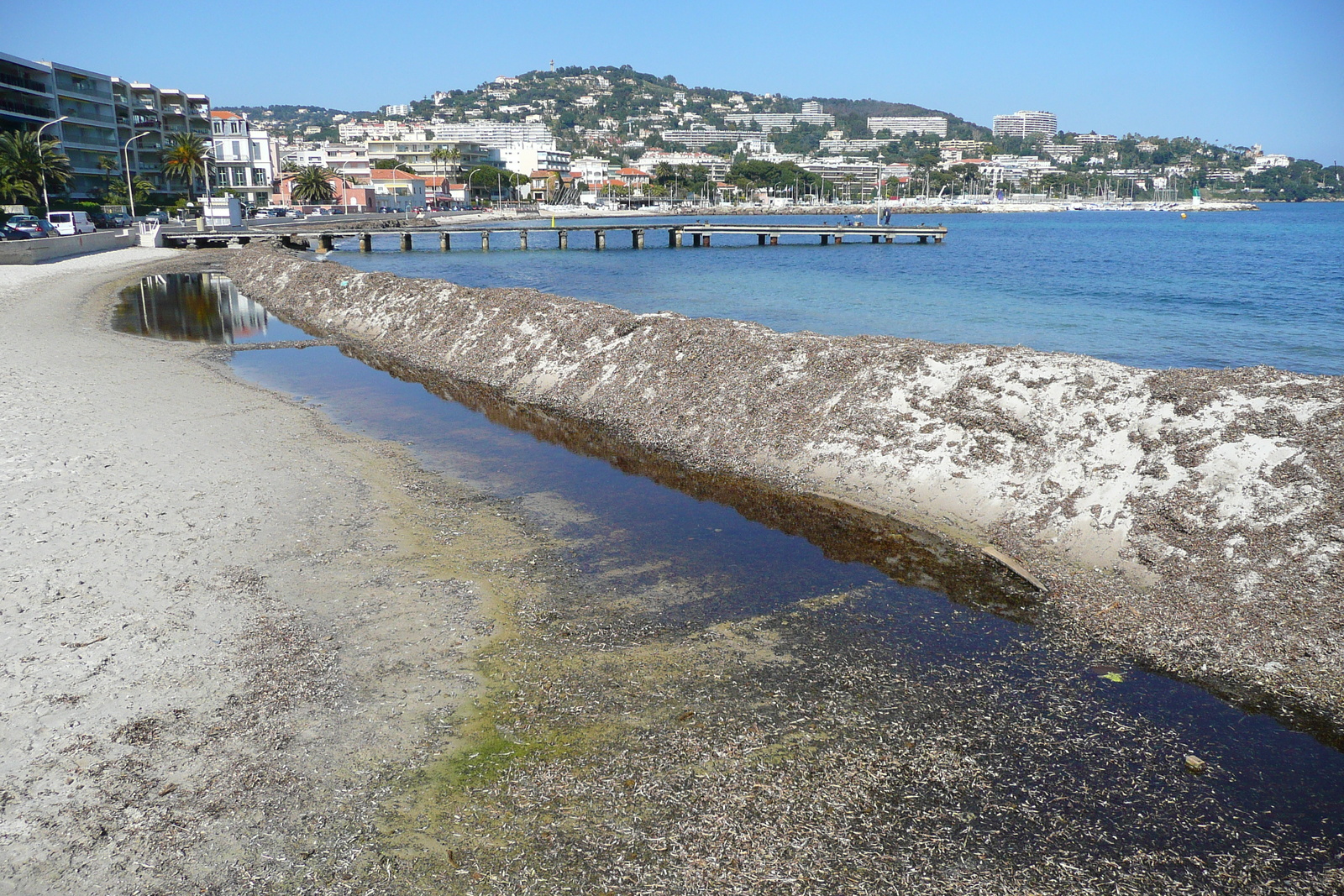 Picture France Cannes Plage Gazagnaire 2008-03 52 - Photographer Plage Gazagnaire