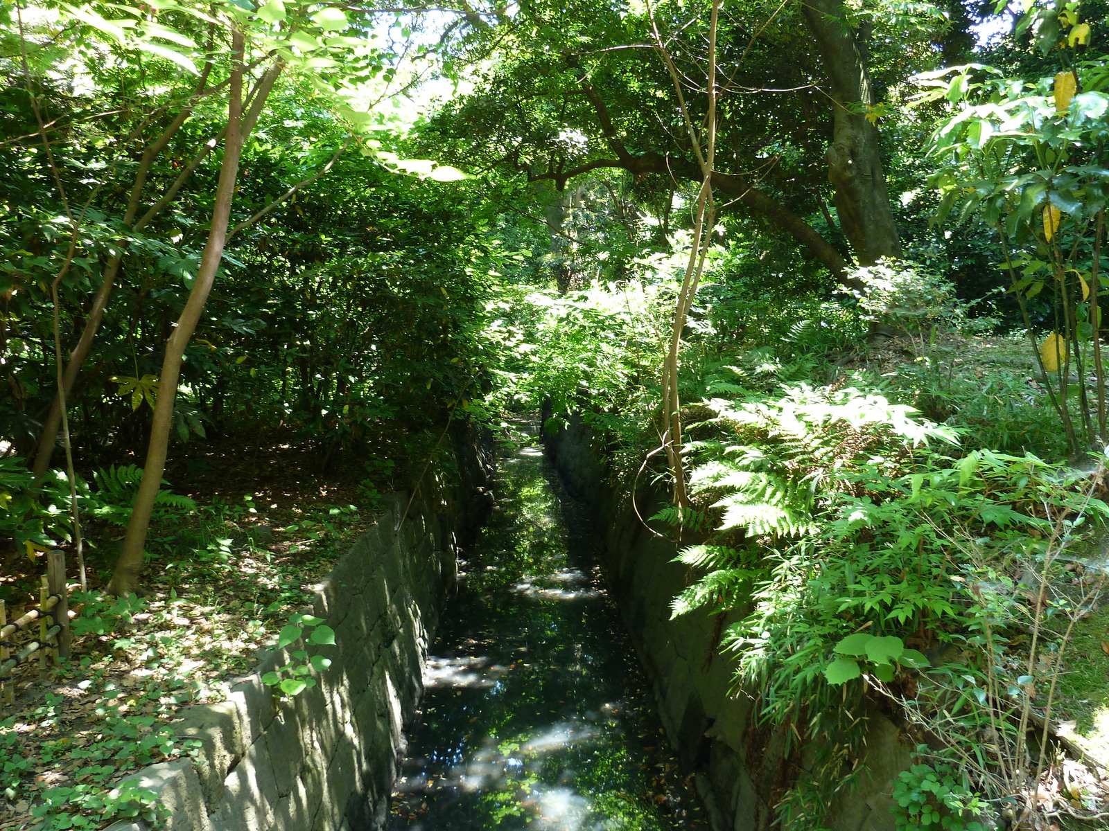 Picture Japan Tokyo Hama rikyu Gardens 2010-06 37 - Travel Hama rikyu Gardens