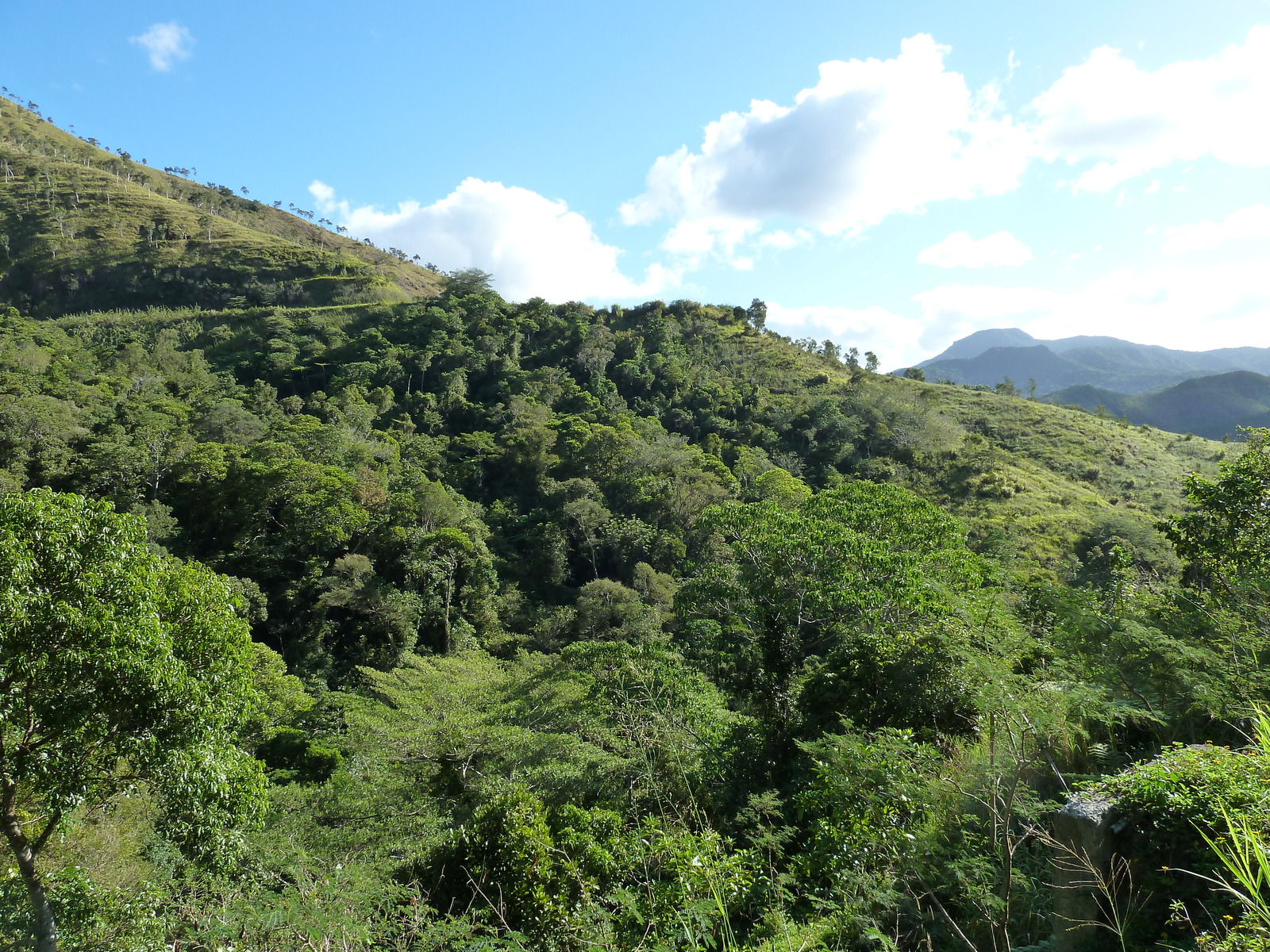 Picture New Caledonia Canala to La Foa road 2010-05 12 - Photos Canala to La Foa road