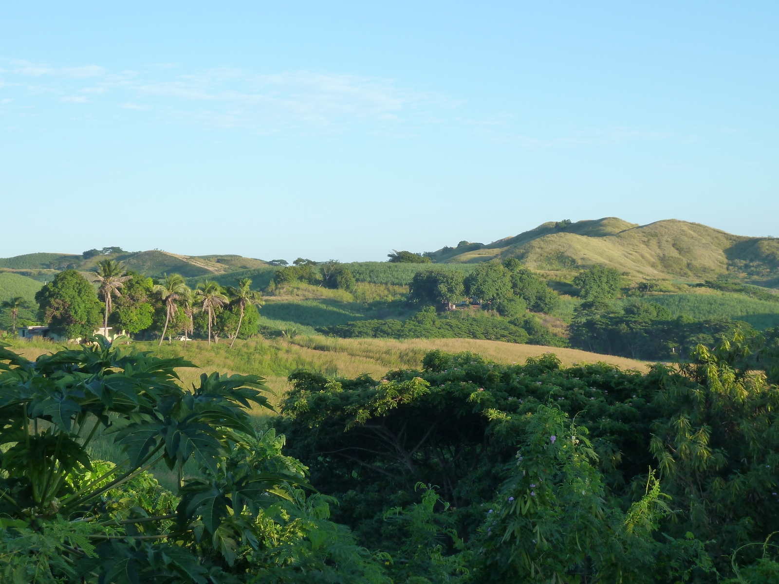 Picture Fiji Nadi to Sigatoka road 2010-05 17 - Photographer Nadi to Sigatoka road