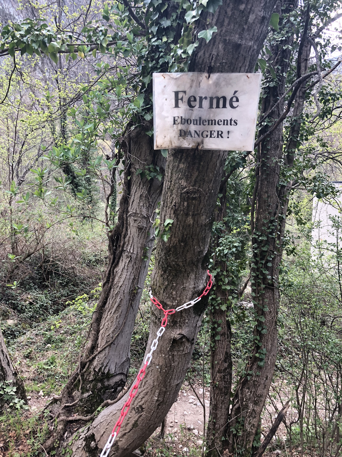 Picture France Abbaye Saint Martin du Canigou 2018-04 173 - Flight Abbaye Saint Martin du Canigou