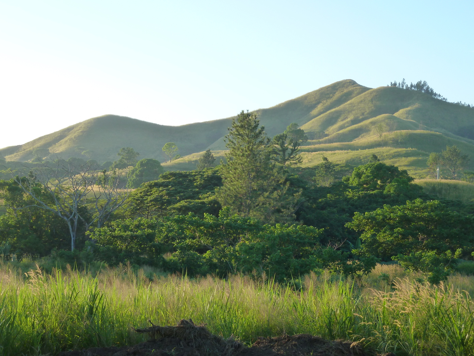 Picture Fiji Nadi to Sigatoka road 2010-05 2 - Perspective Nadi to Sigatoka road