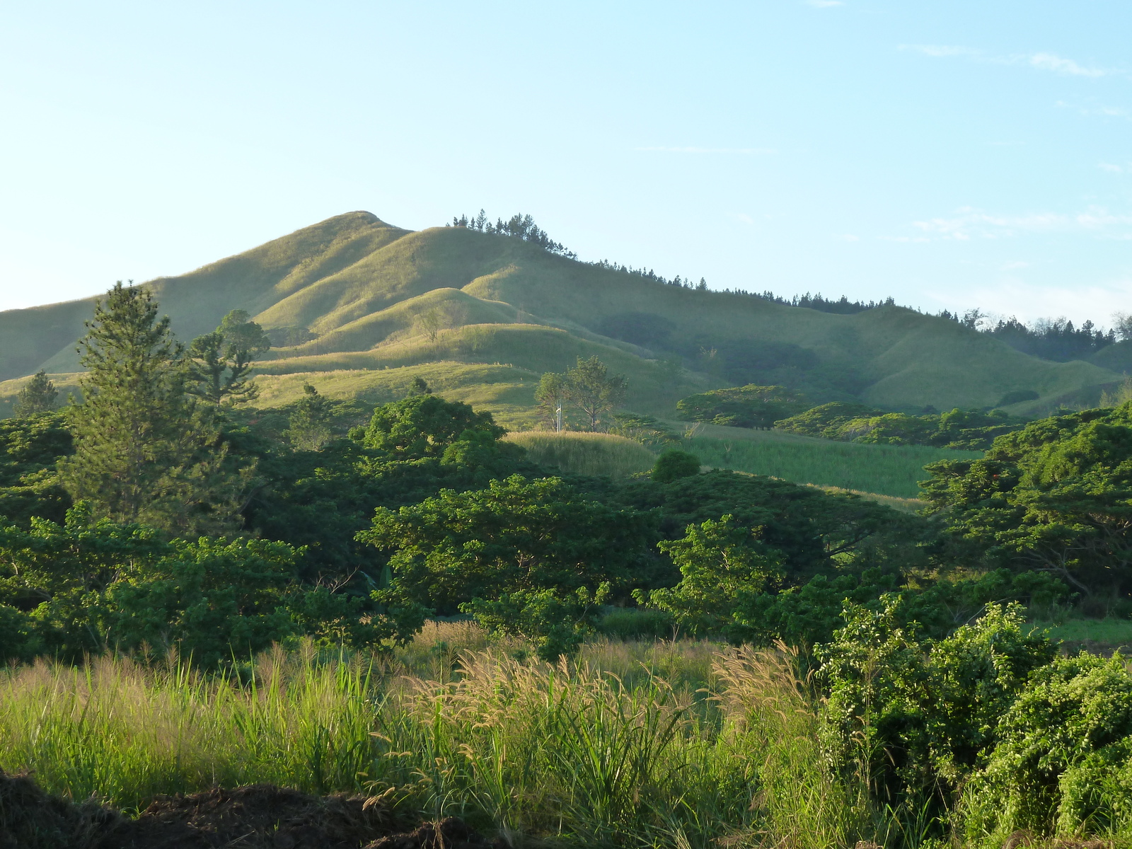 Picture Fiji Nadi to Sigatoka road 2010-05 1 - Sight Nadi to Sigatoka road