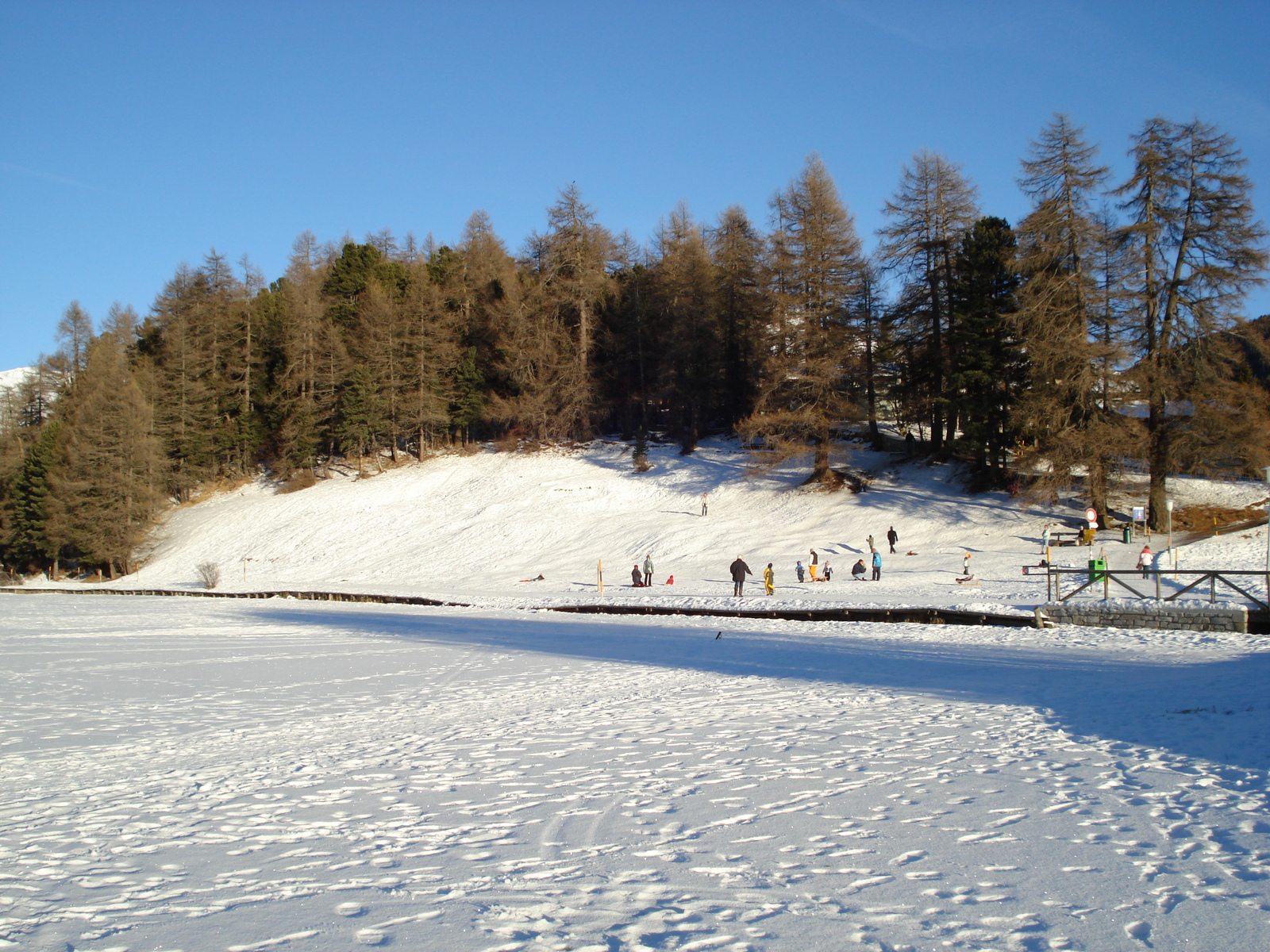 Picture Swiss St Moritz 2007-01 122 - Pictures St Moritz