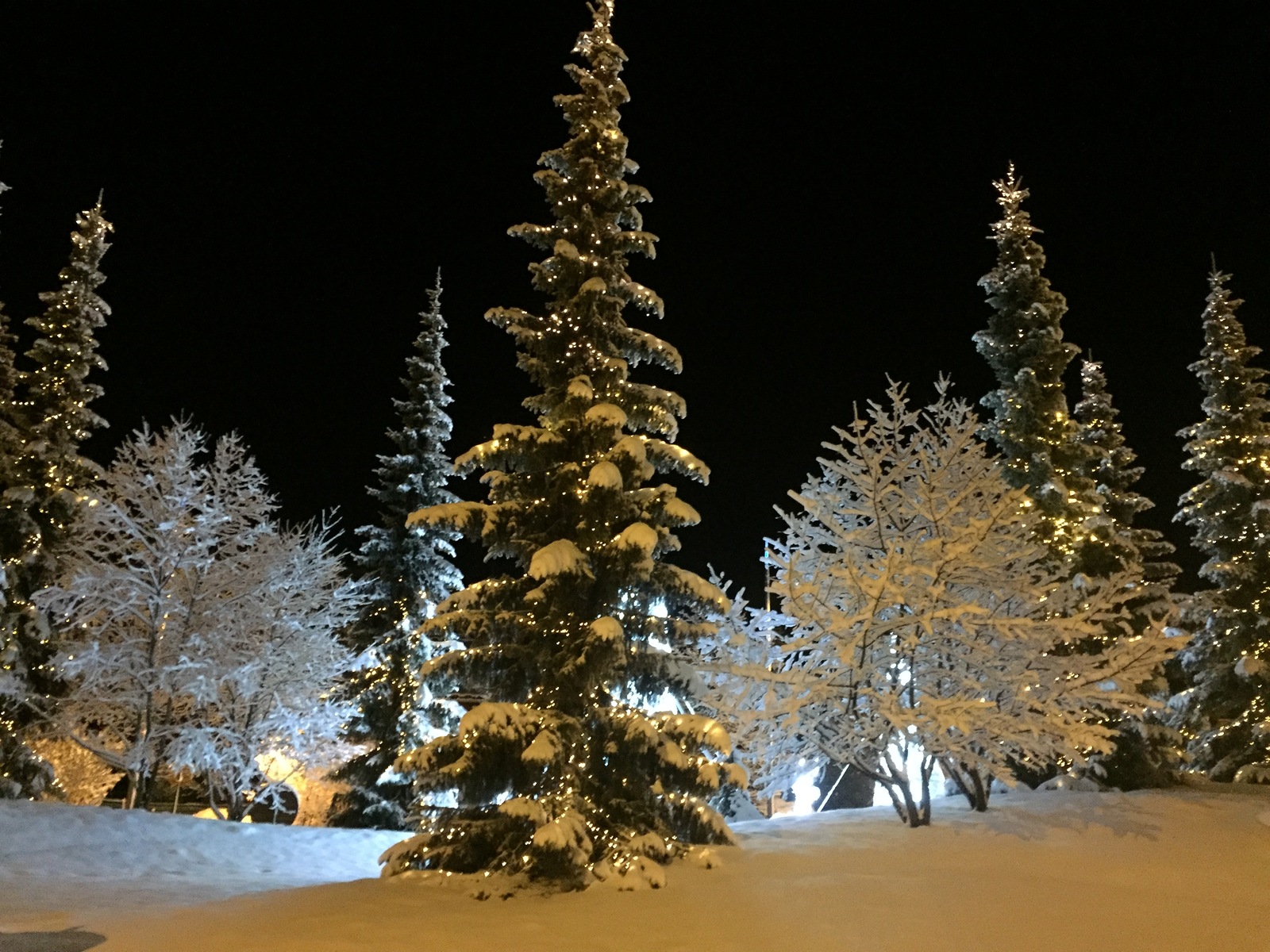 Picture France Megeve 2016-02 71 - Tourist Places Megeve