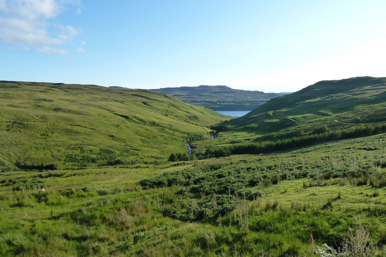 Picture United Kingdom Skye 2011-07 87 - Trip Skye