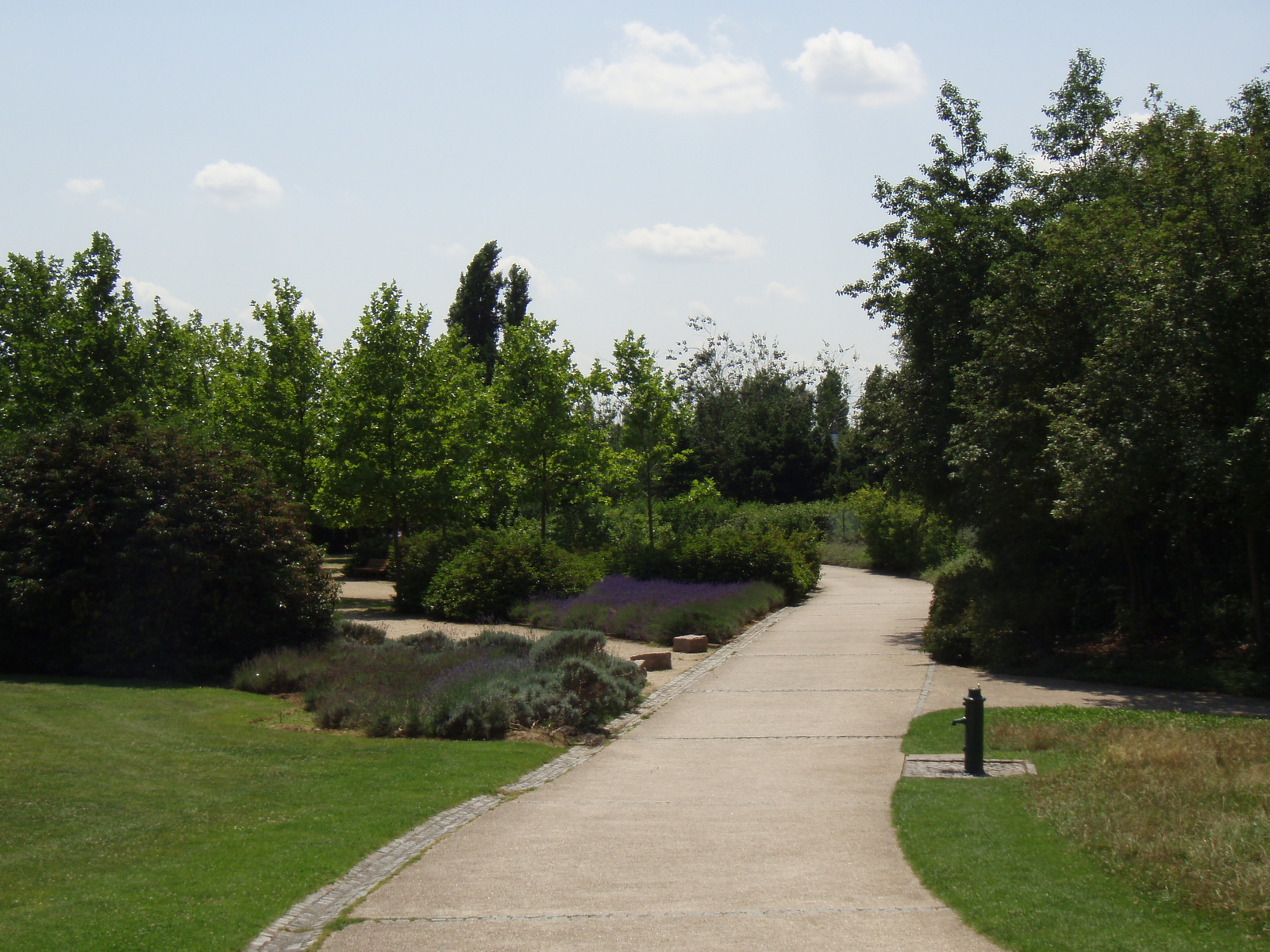 Picture France Villeneuve La Garenne Parc des Chanteraines 2007-07 67 - Car Rental Parc des Chanteraines