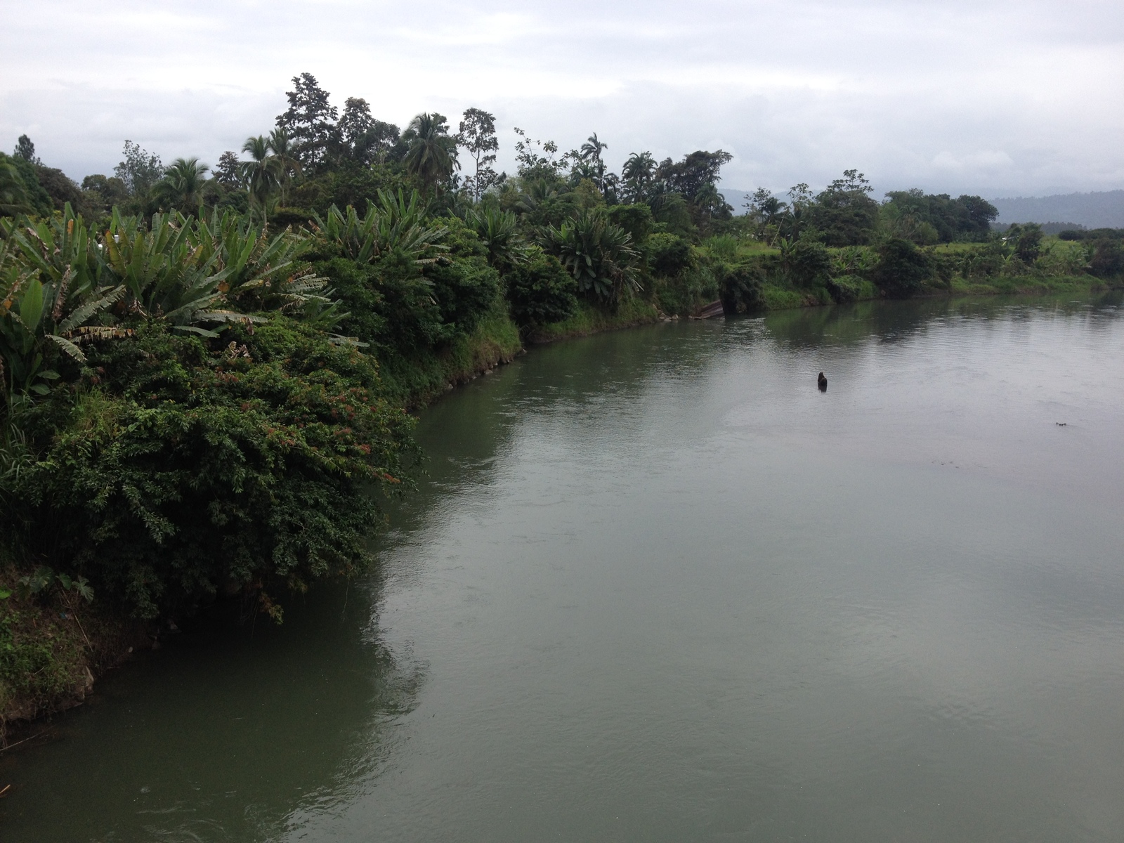 Picture Costa Rica Caraibean Border 2015-03 25 - Views Caraibean Border