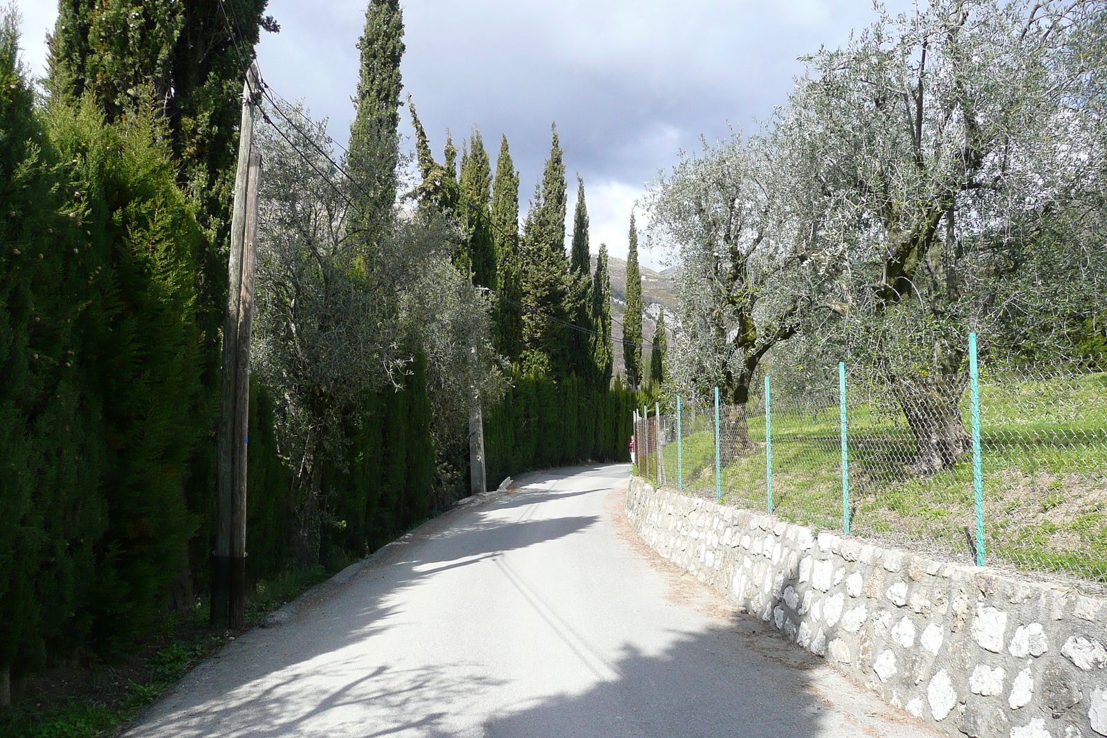 Picture France Vence Hauts de Vence 2008-03 81 - Trail Hauts de Vence