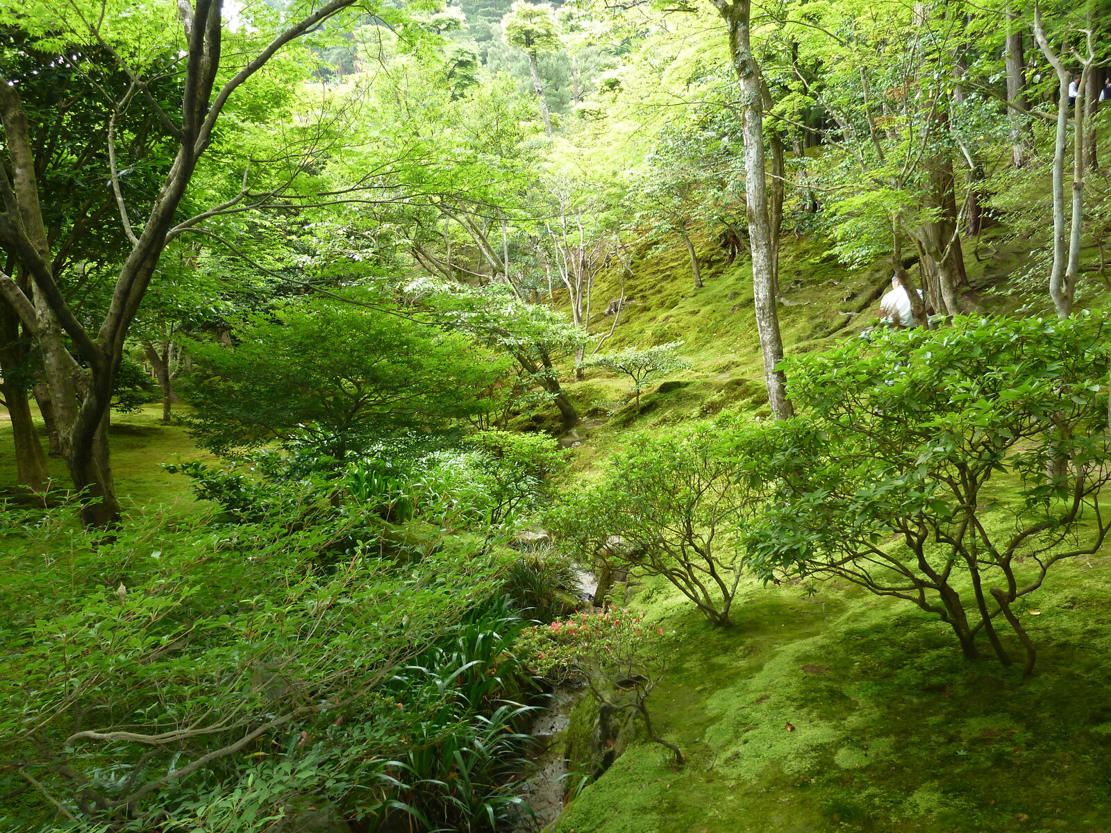 Picture Japan Kyoto Ginkakuji Temple(Silver Pavilion) 2010-06 84 - Sightseeing Ginkakuji Temple(Silver Pavilion)