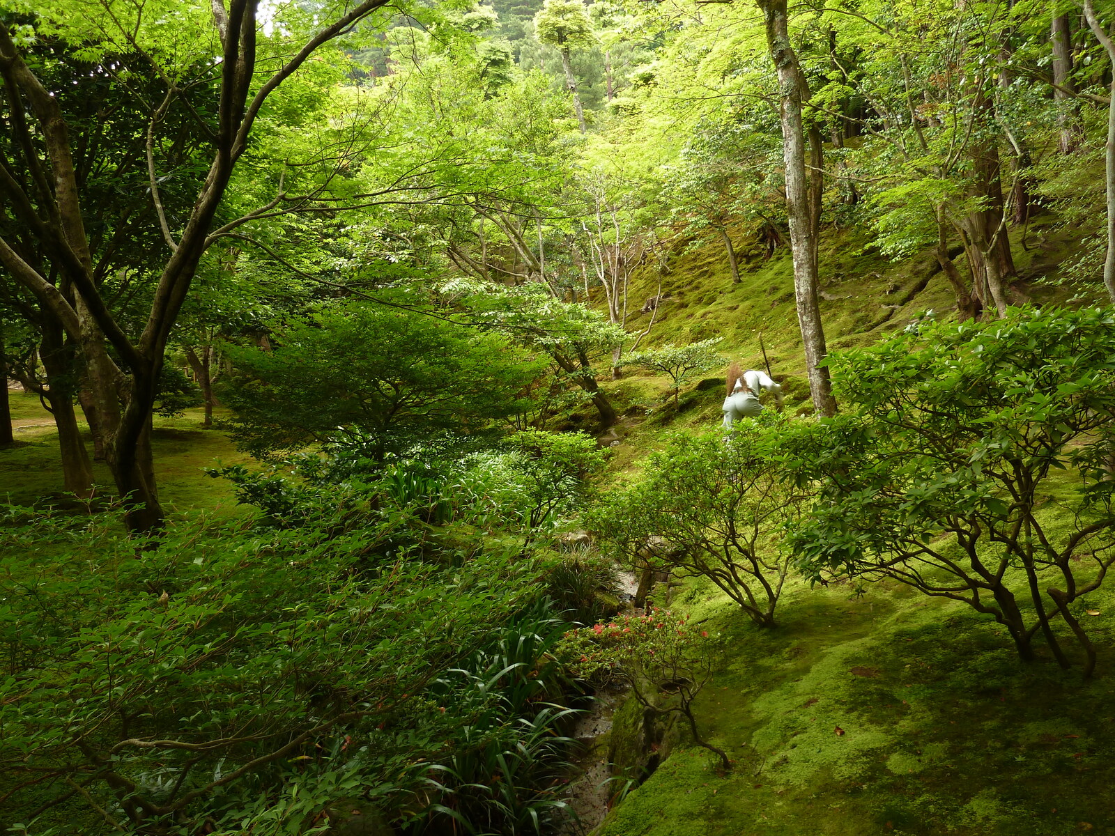 Picture Japan Kyoto Ginkakuji Temple(Silver Pavilion) 2010-06 79 - Shopping Mall Ginkakuji Temple(Silver Pavilion)