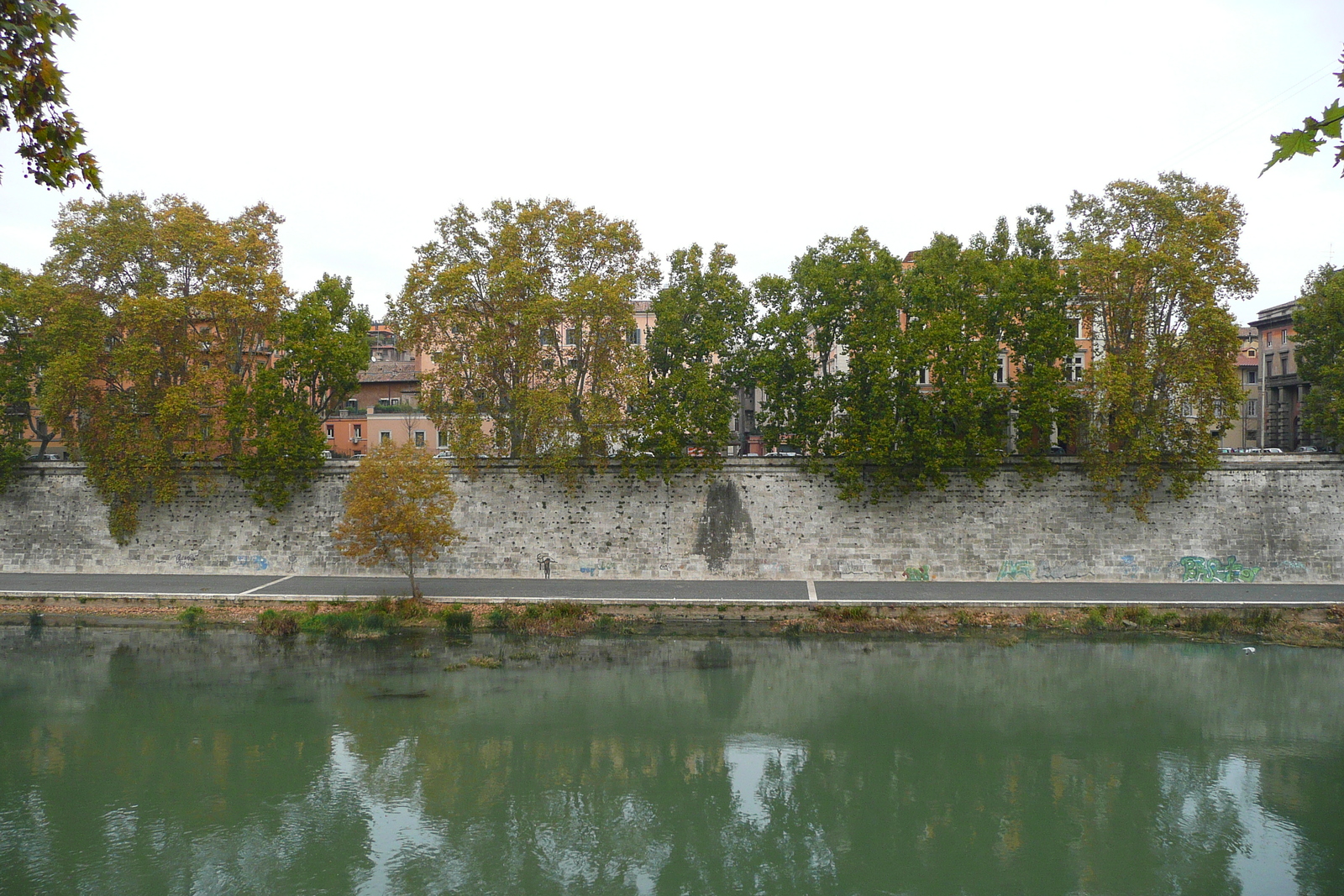 Picture Italy Rome Lungotevere Gianicolense 2007-11 28 - Tourist Places Lungotevere Gianicolense