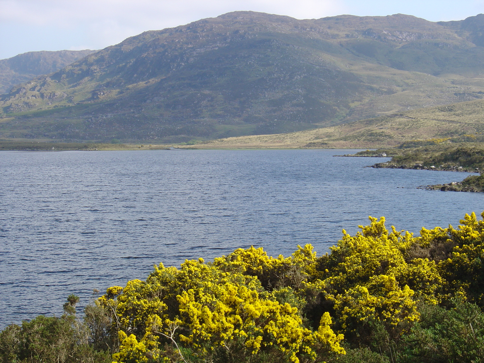 Picture Ireland Kerry Caragh Lake 2004-05 7 - Discover Caragh Lake