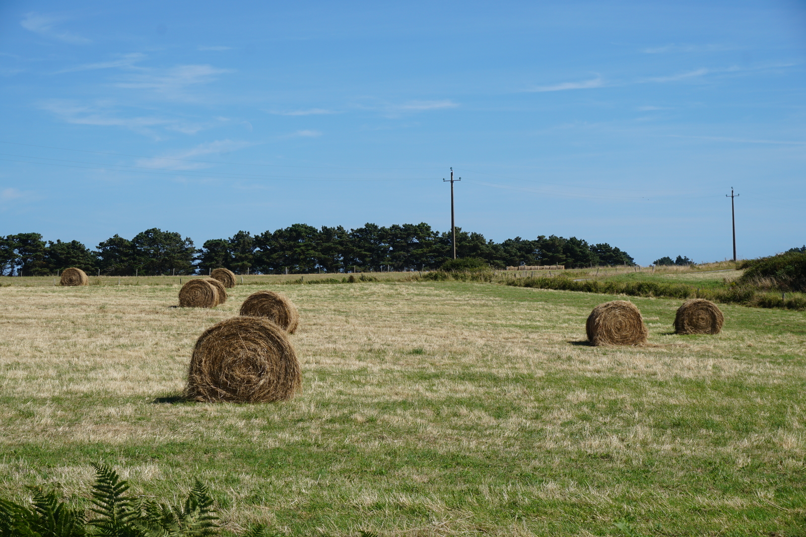 Picture France Belle-Ile 2016-08 248 - Photo Belle-Ile