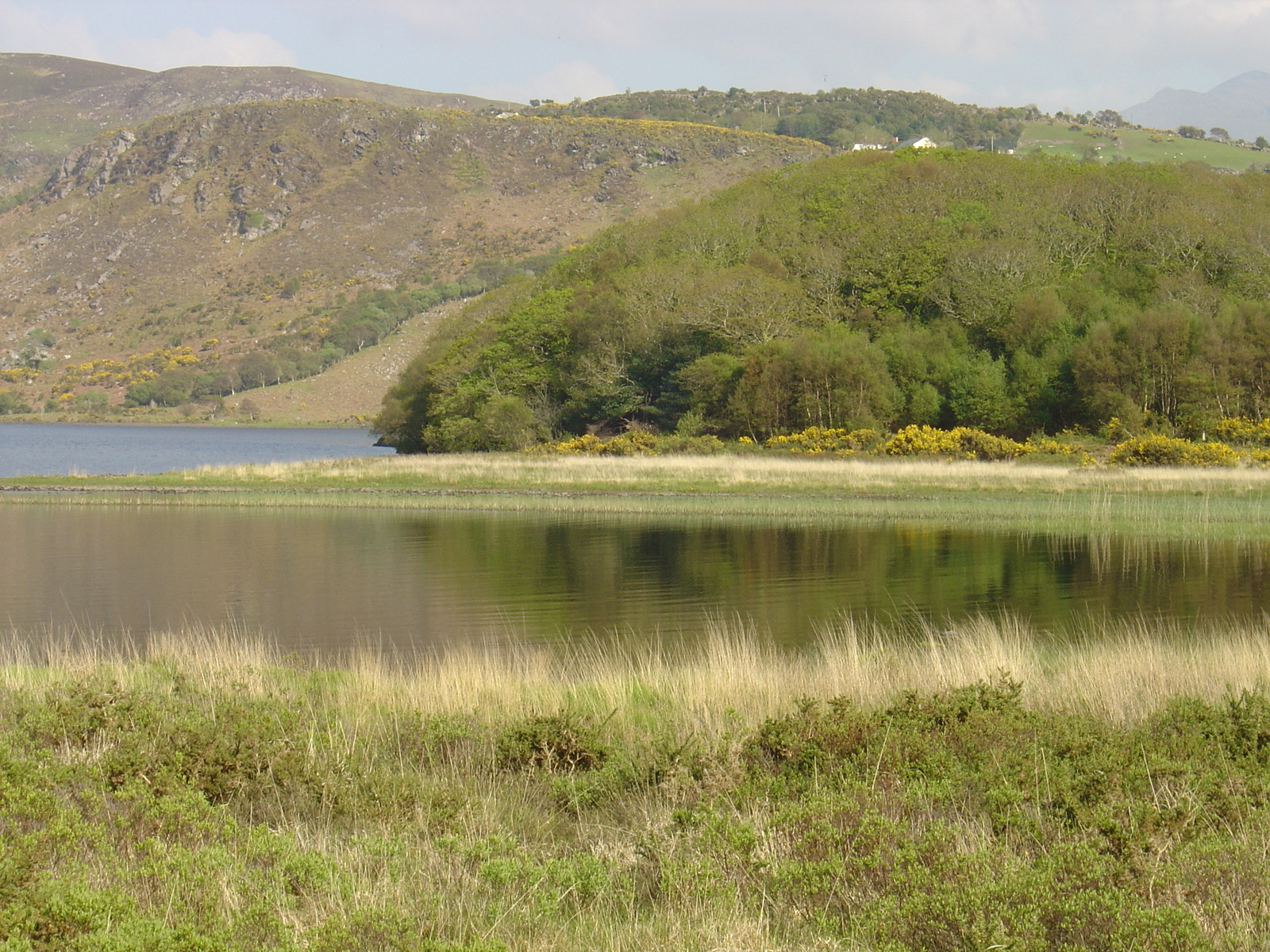 Picture Ireland Kerry Caragh Lake 2004-05 1 - Trail Caragh Lake