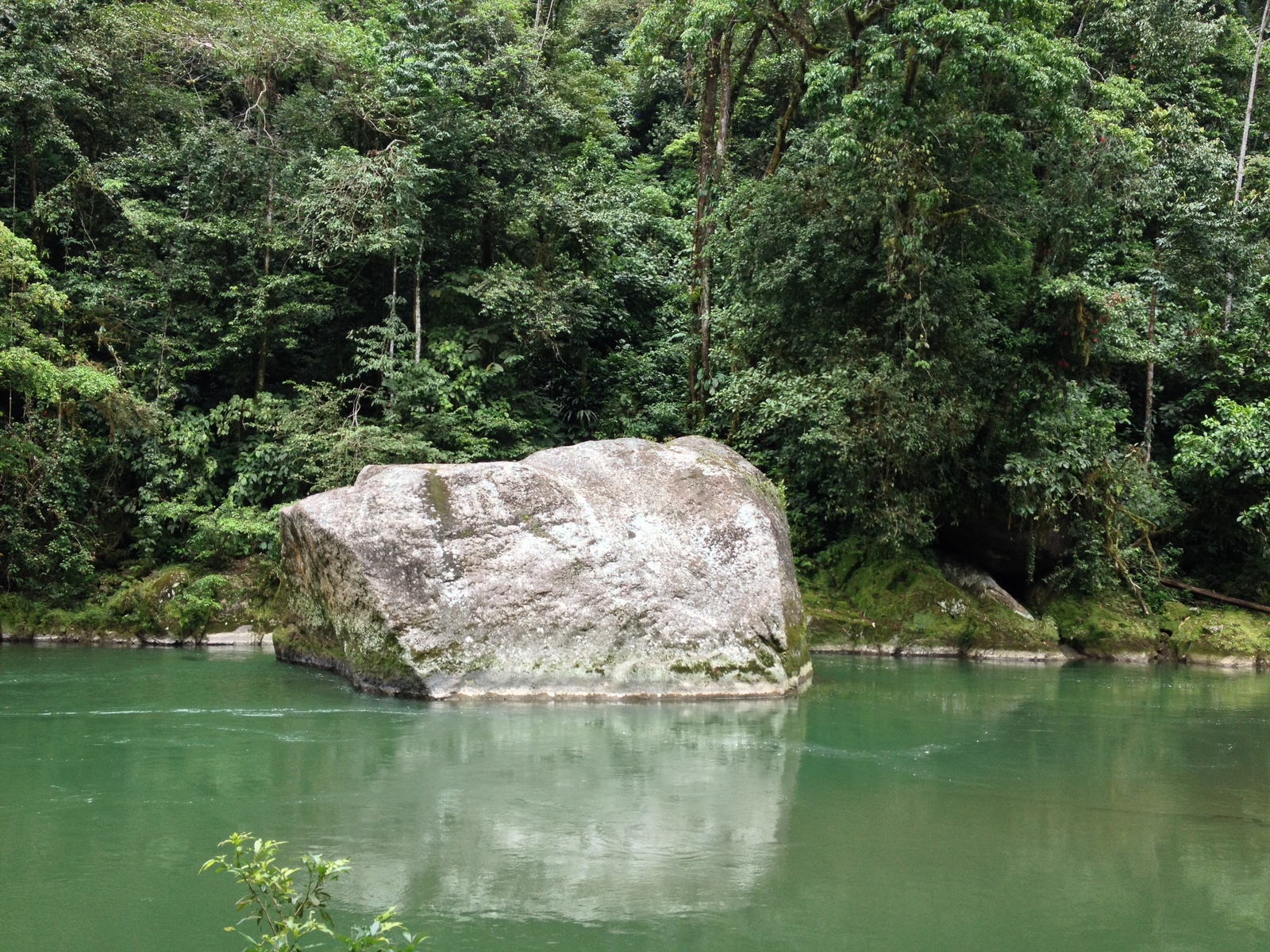 Picture Costa Rica Pacuare River 2015-03 209 - Flight Pacuare River