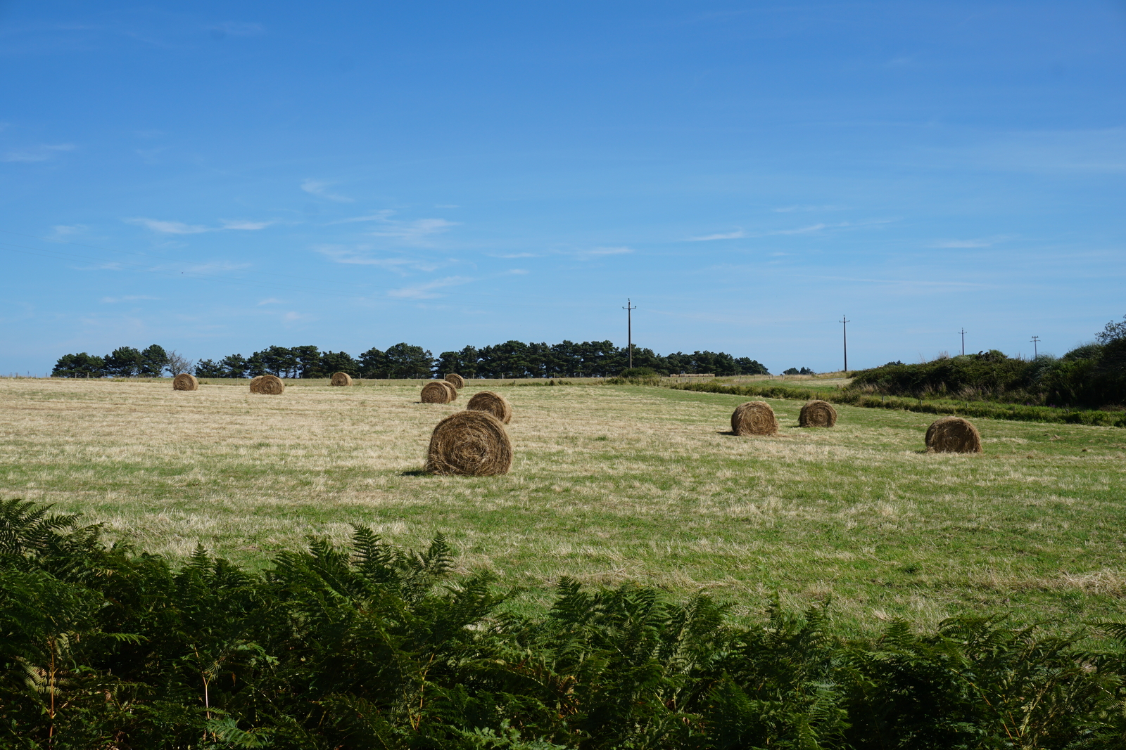 Picture France Belle-Ile 2016-08 227 - Journey Belle-Ile