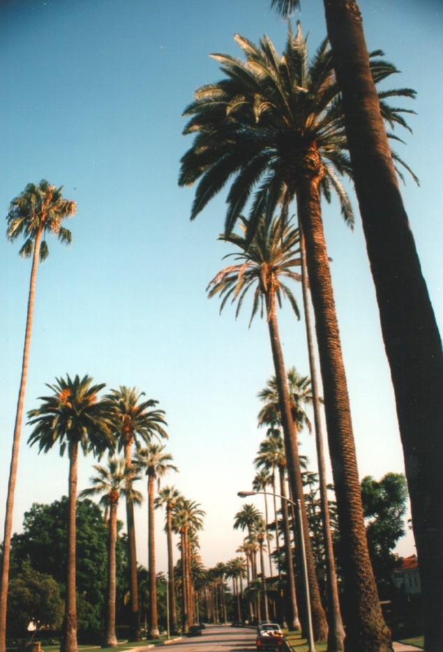 Picture United States Beverly Hill 1992-08 16 - Tourist Beverly Hill