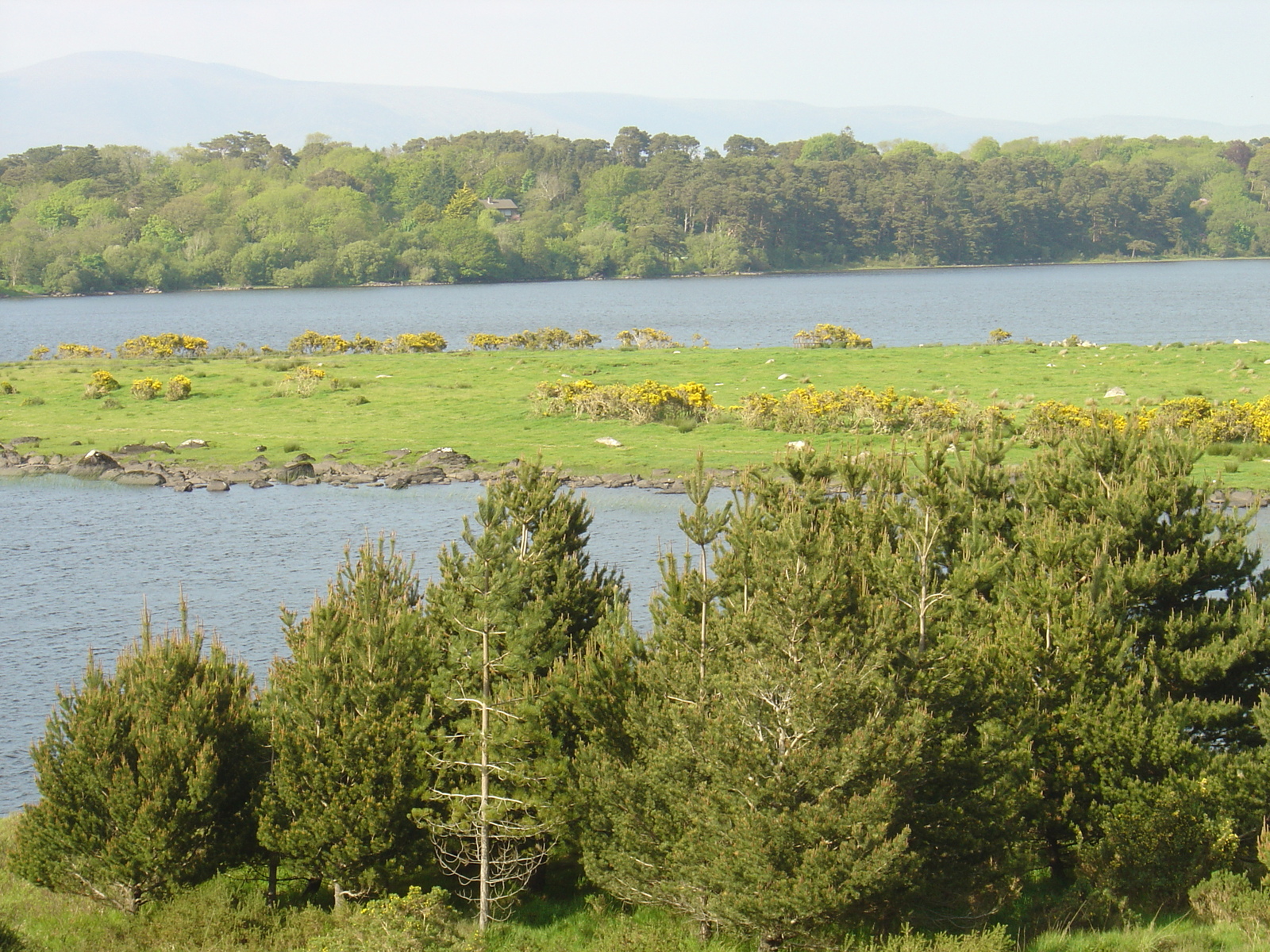 Picture Ireland Kerry Caragh Lake 2004-05 41 - Photographers Caragh Lake