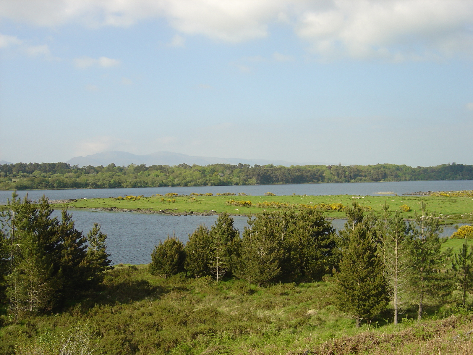 Picture Ireland Kerry Caragh Lake 2004-05 40 - Picture Caragh Lake