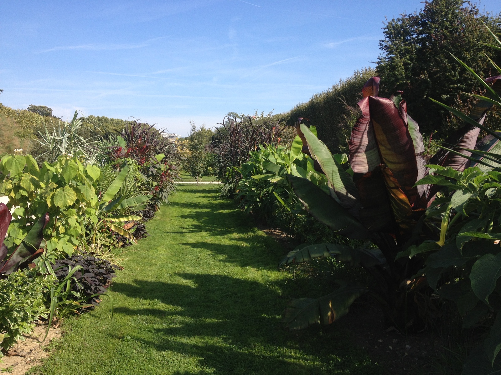 Picture France Paris Jardin des Plantes 2014-09 29 - Road Jardin des Plantes