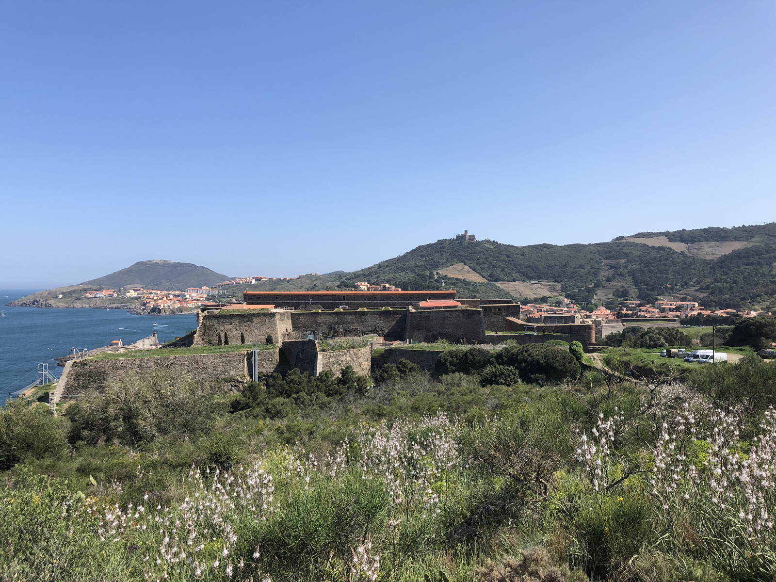 Picture France Collioure 2018-04 259 - Sight Collioure