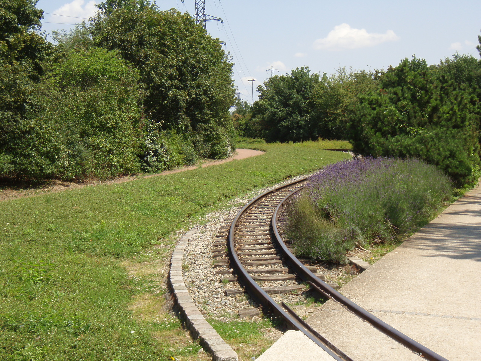 Picture France Villeneuve La Garenne Parc des Chanteraines 2007-07 45 - Pictures Parc des Chanteraines