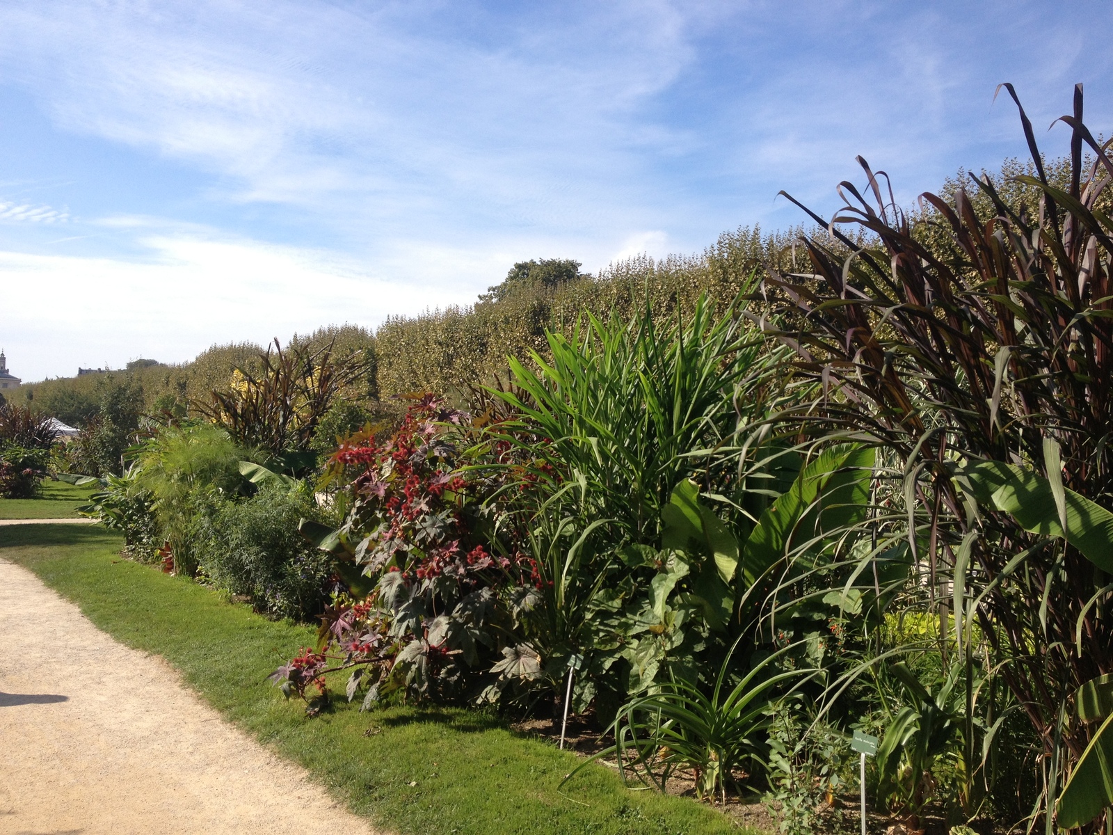 Picture France Paris Jardin des Plantes 2014-09 24 - Perspective Jardin des Plantes