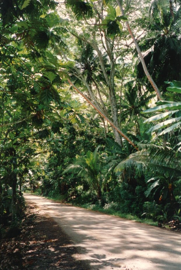 Picture Polynesia 1993-04 18 - Trail Polynesia