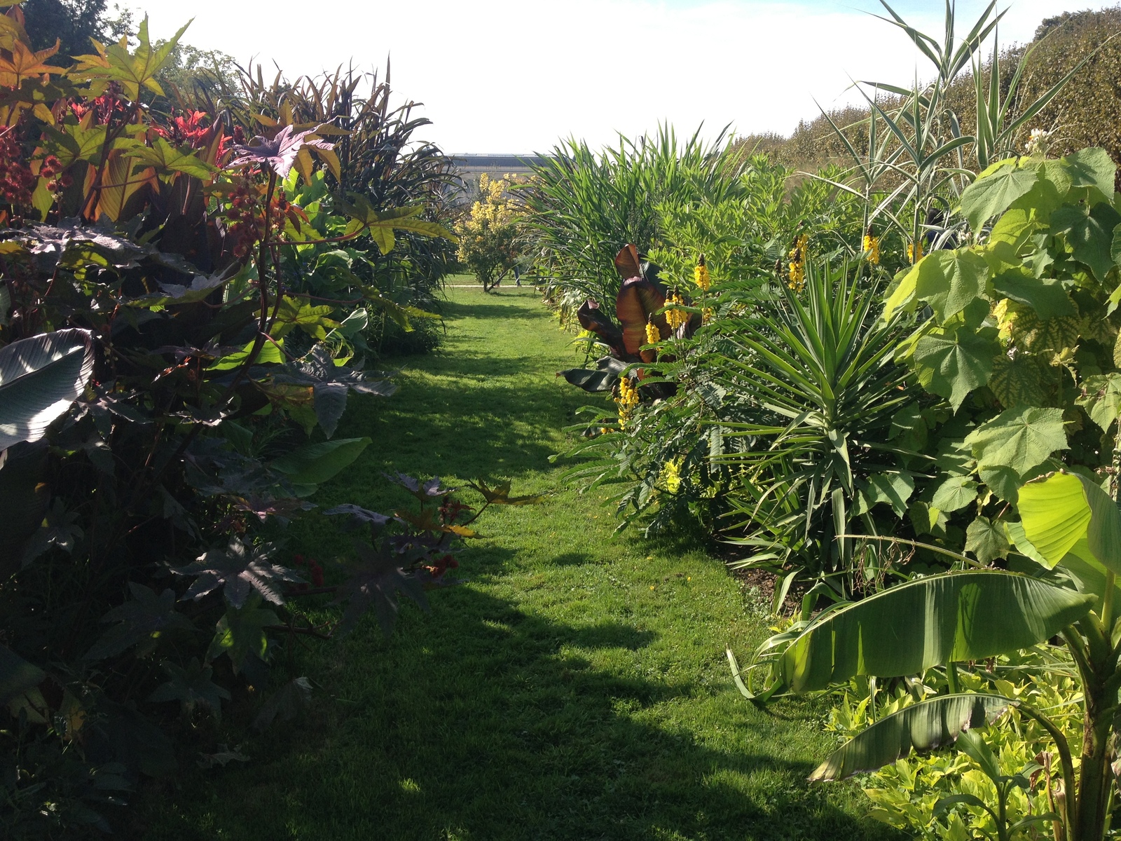 Picture France Paris Jardin des Plantes 2014-09 14 - Pictures Jardin des Plantes