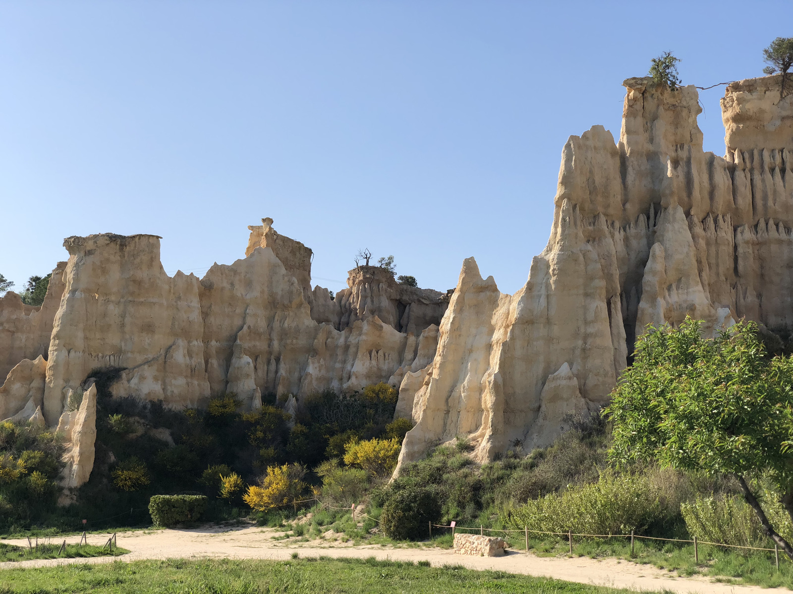 Picture France Orgues d'Ille Sur Tet 2018-04 91 - Pictures Orgues d'Ille Sur Tet