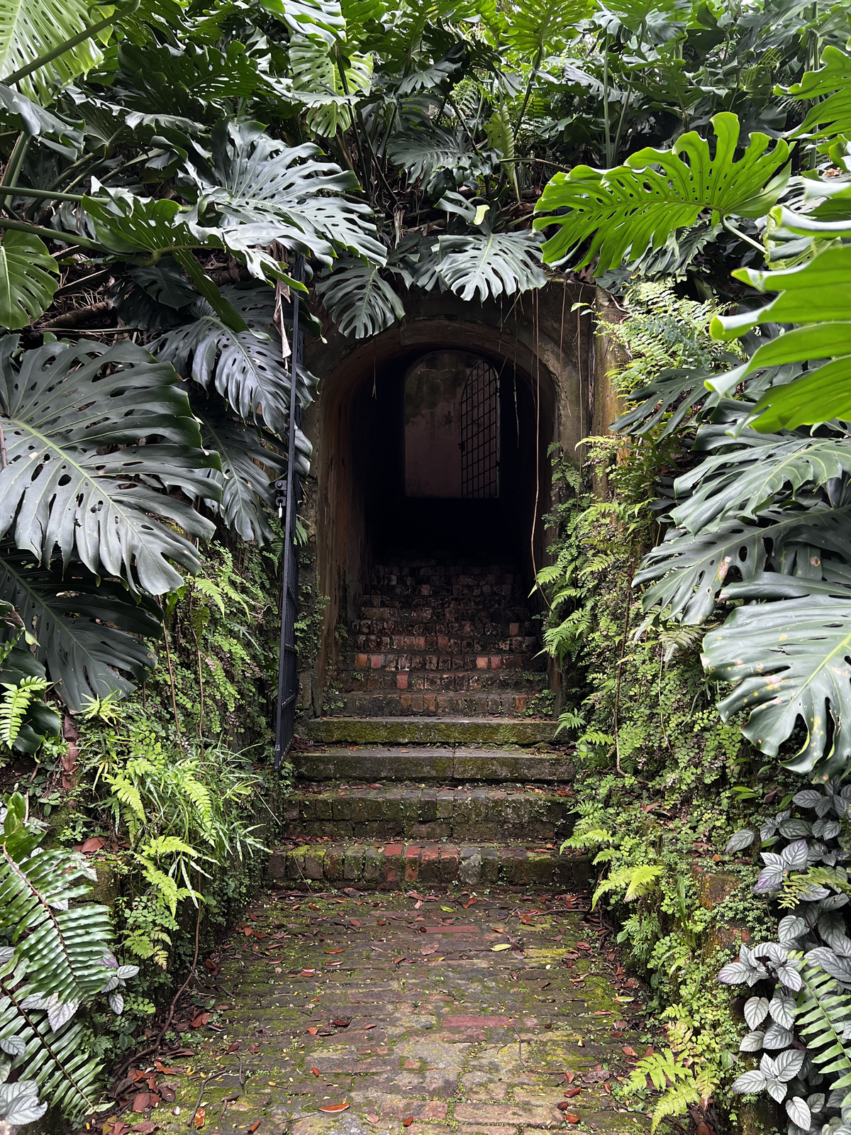 Picture Singapore Fort Canning Park 2023-01 2 - View Fort Canning Park