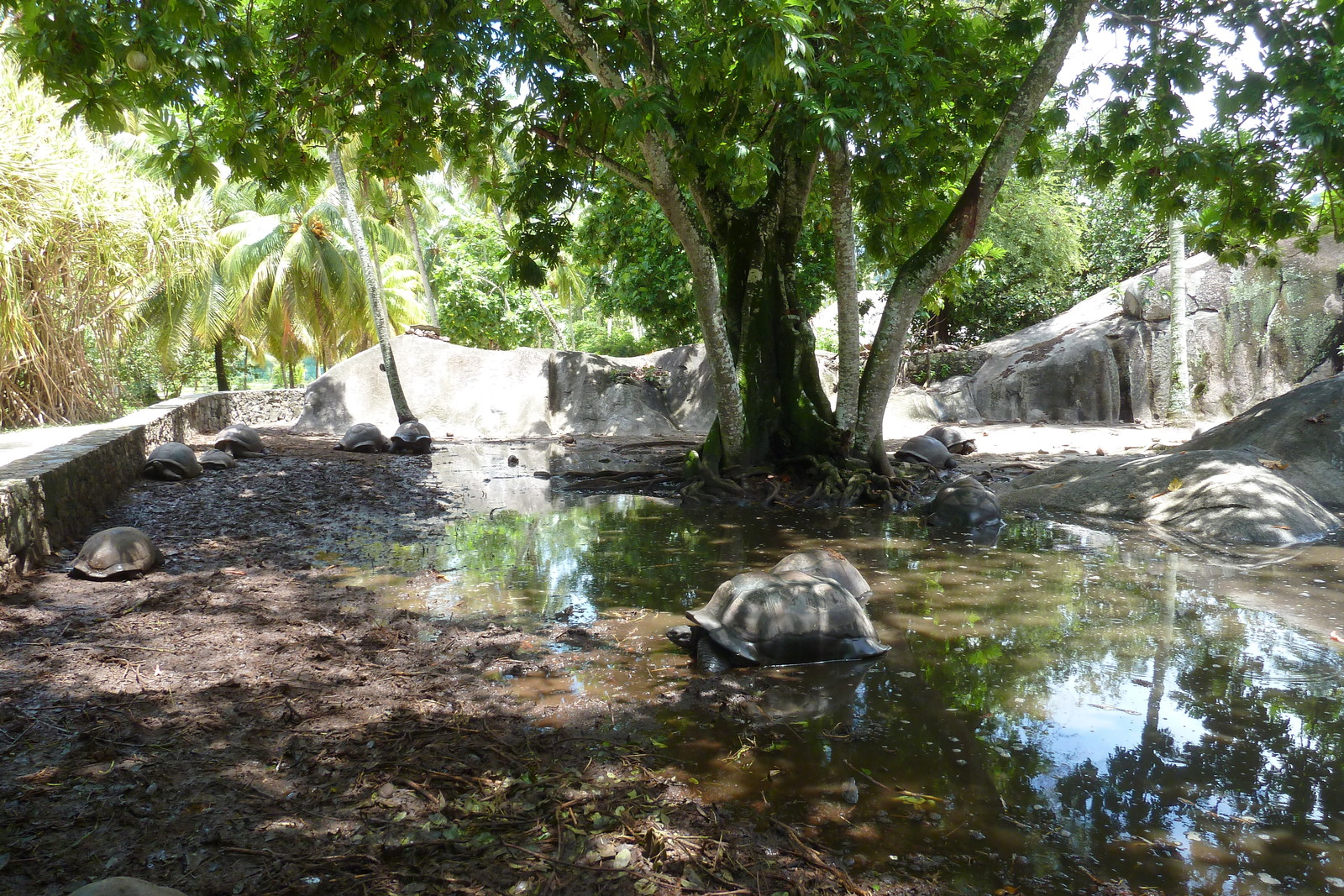 Picture Seychelles La Digue 2011-10 194 - Visit La Digue