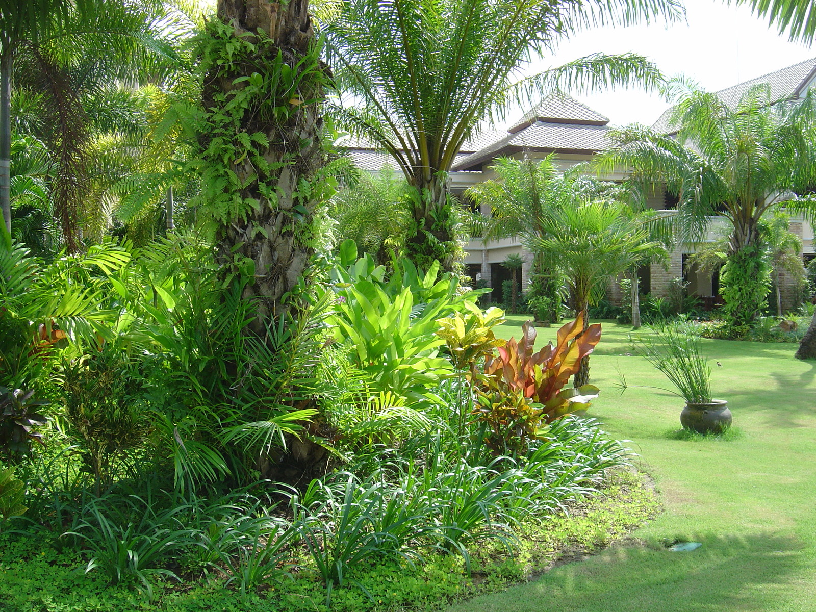 Picture Thailand Khao Lak Meridien Khao Lak Hotel 2005-12 149 - Picture Meridien Khao Lak Hotel