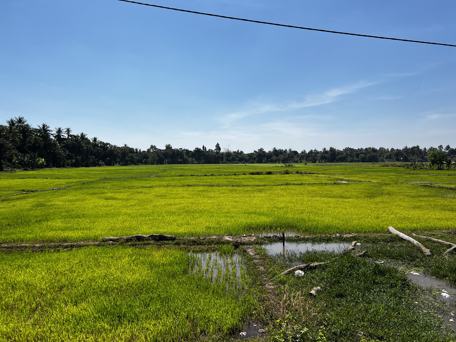 Picture Cambodia Siem Reap 2023-01 131 - Discover Siem Reap