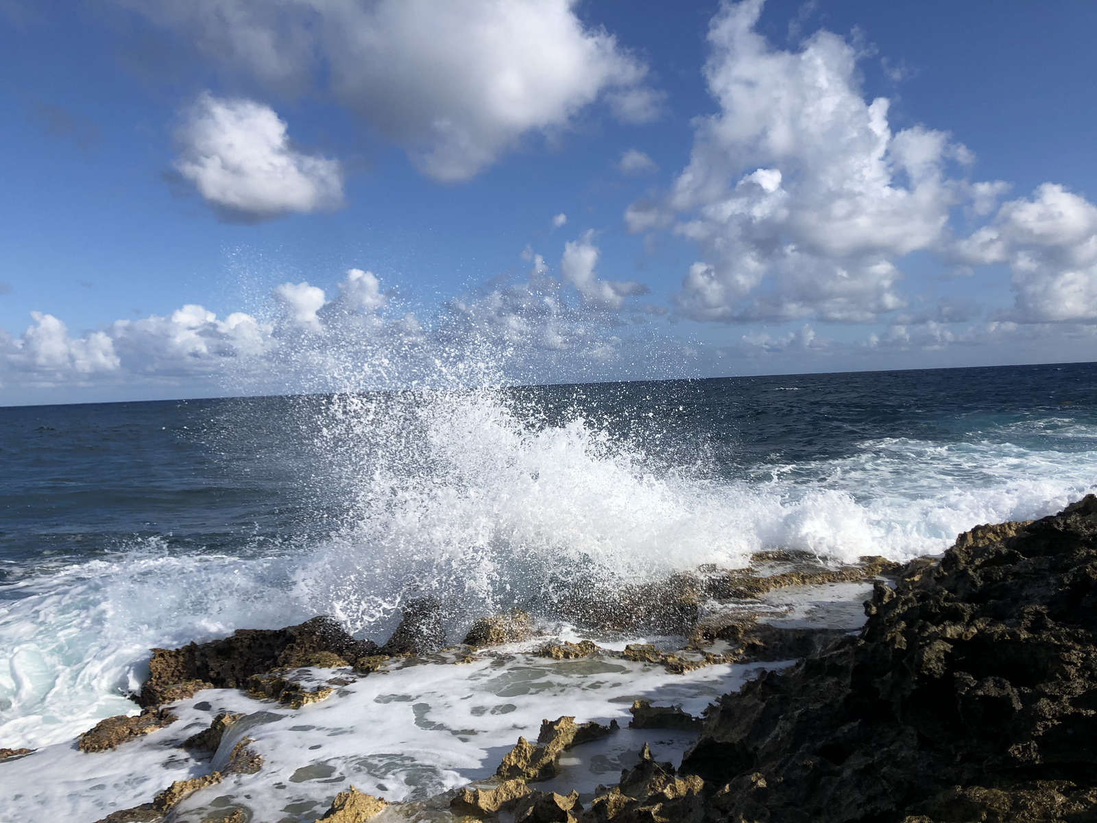 Picture Guadeloupe Castle Point 2021-02 98 - Picture Castle Point