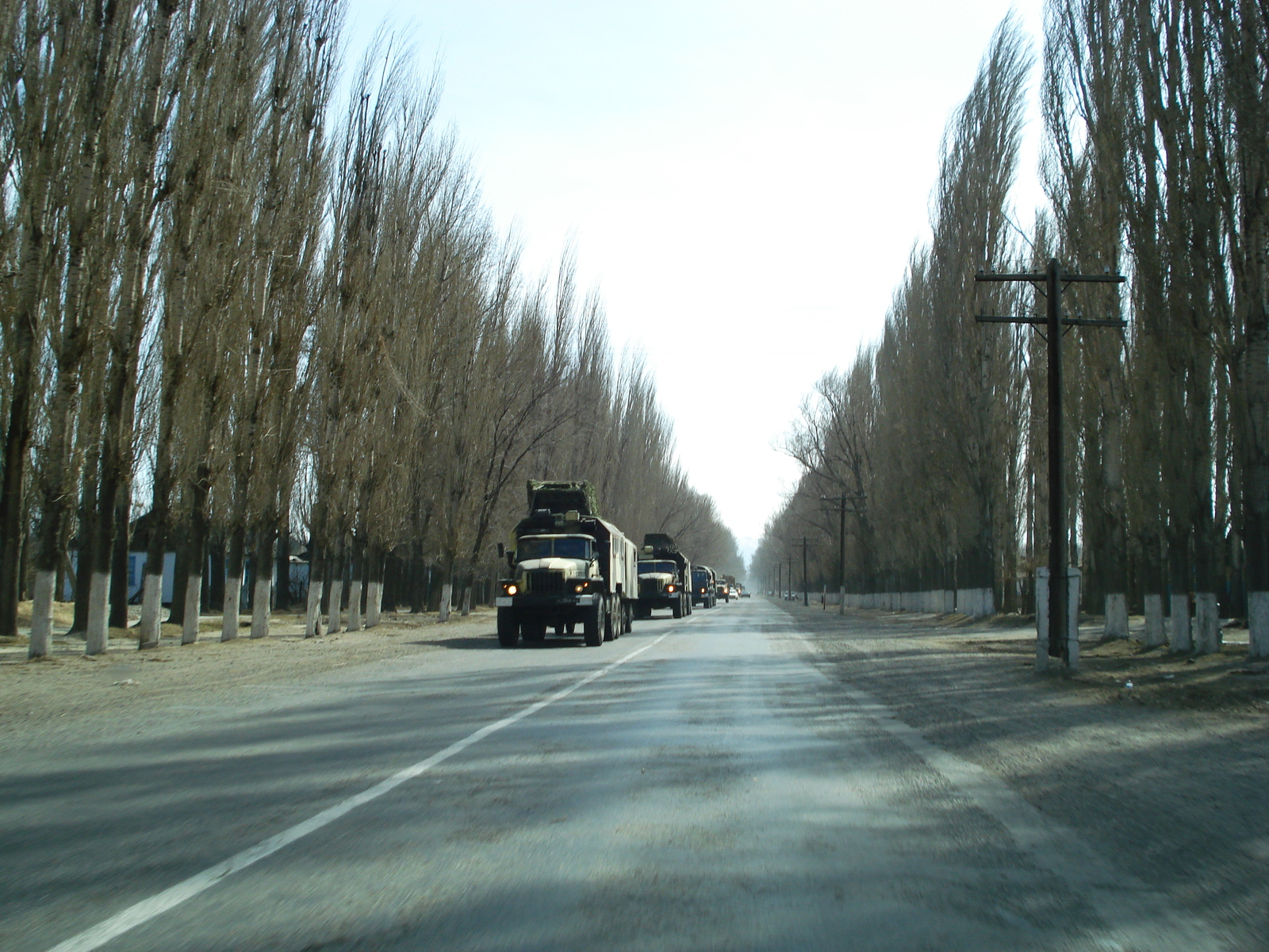 Picture Kazakhstan Almaty to Charyn Canyon road 2007-03 132 - Photos Almaty to Charyn Canyon road