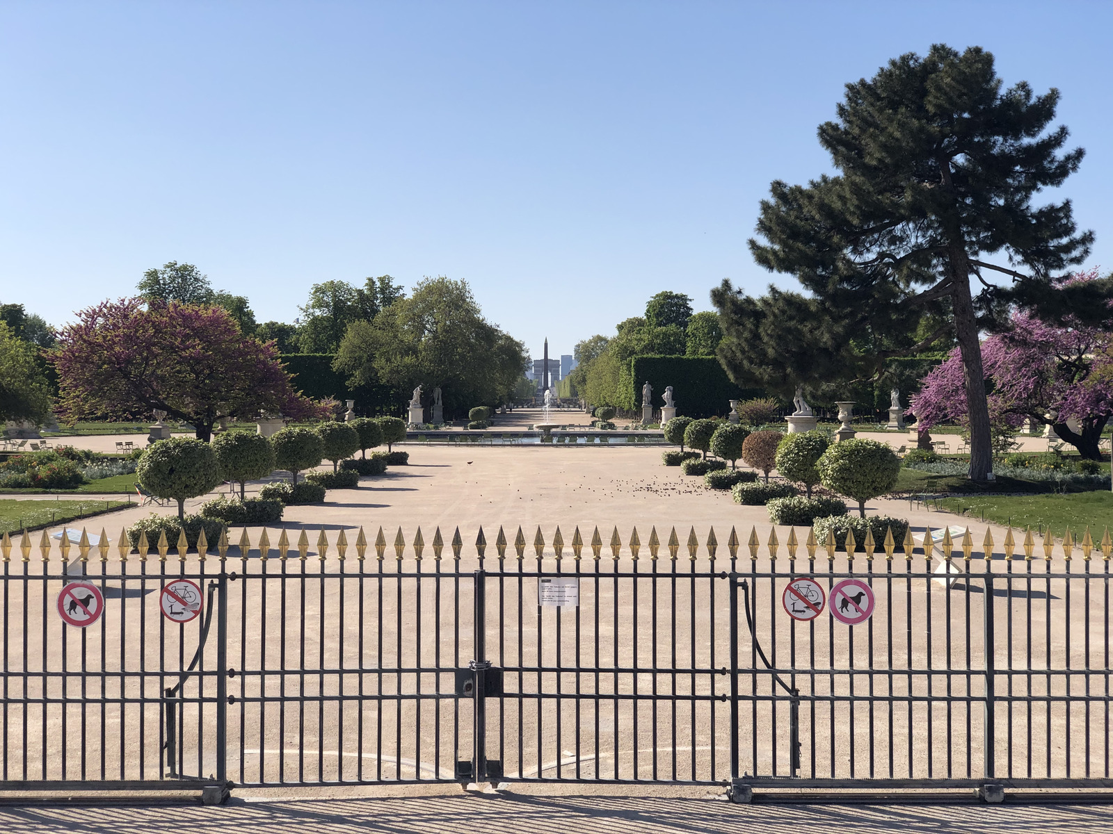 Picture France Paris lockdown 2020-04 175 - View Paris lockdown